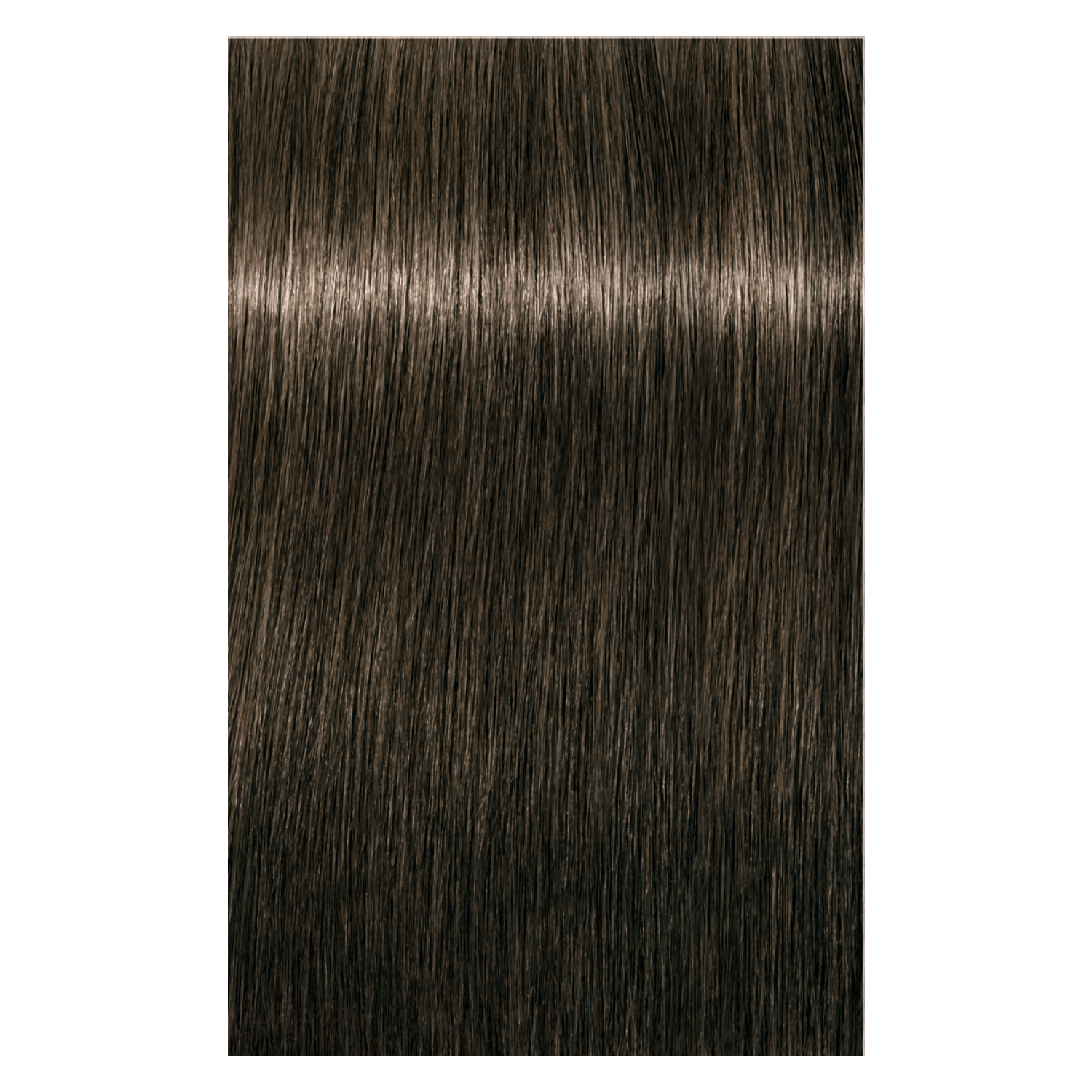 Schwarzkopf Igora Royal 6-1 DARK BLONDE CENDRE, 60g