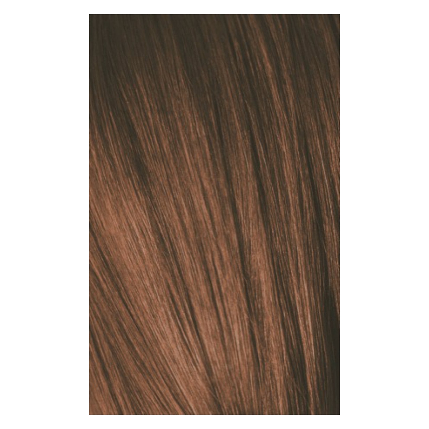 Schwarzkopf Igora Color10 6-65 BLOND CHOCOLAT DORÉ FONCÉ, 60 g.