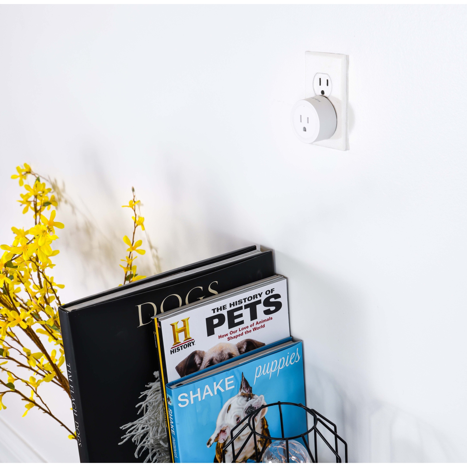 INSTACHEW,&nbsp;Pureconnect Smart Plug, App Enabled, Google Assistant et Alexa Compatible, Smart Converter, Smart Adapter