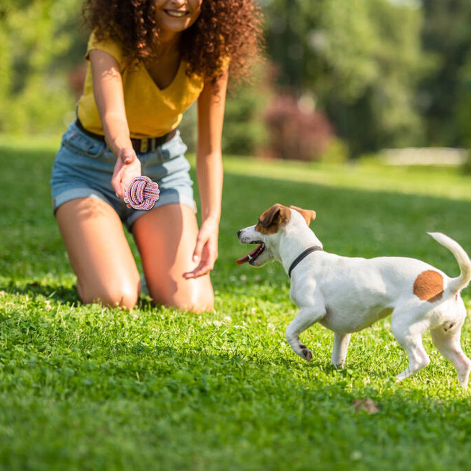 Lot de 7 jouets à mâcher pour chiots pour faire ses dents, jouets pour chiens en corde qui couinent, durables, non toxiques, résistants aux morsures,
