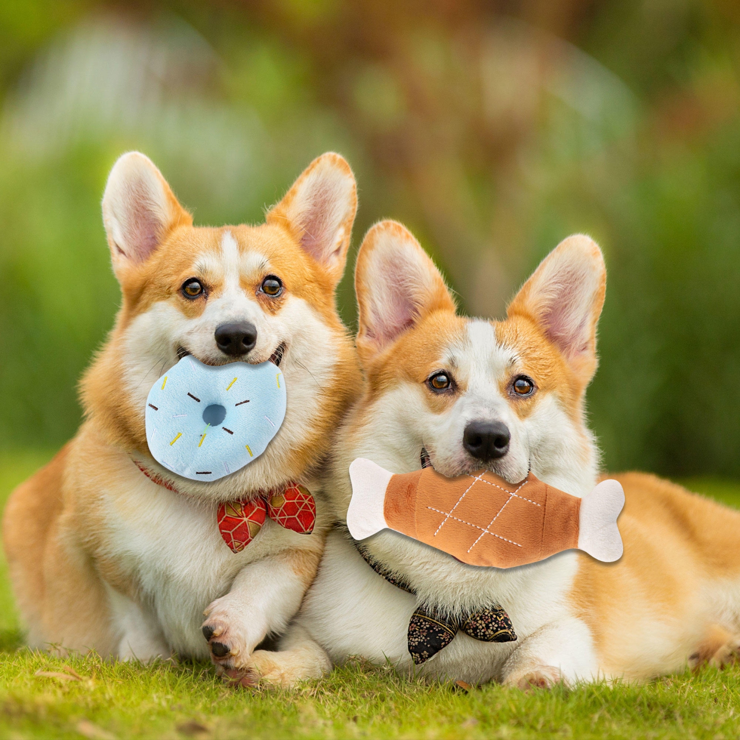 Lot de 7 jouets à mâcher pour chiots pour faire ses dents, jouets pour chiens en corde qui couinent, durables, non toxiques, résistants aux morsures,