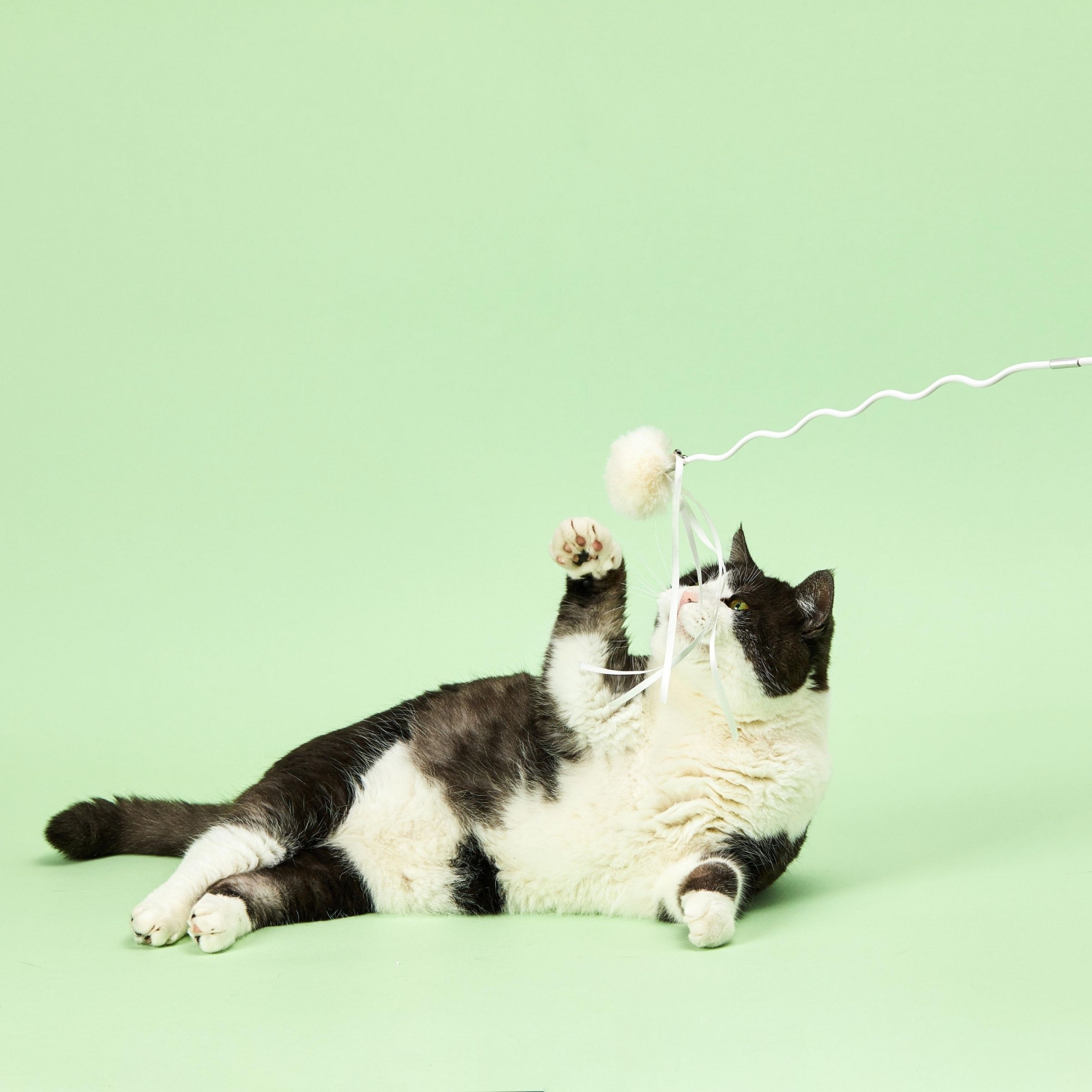 PETKIT Bingo Jouet pour Chat, Jouet Pliable, Jouet Amovible