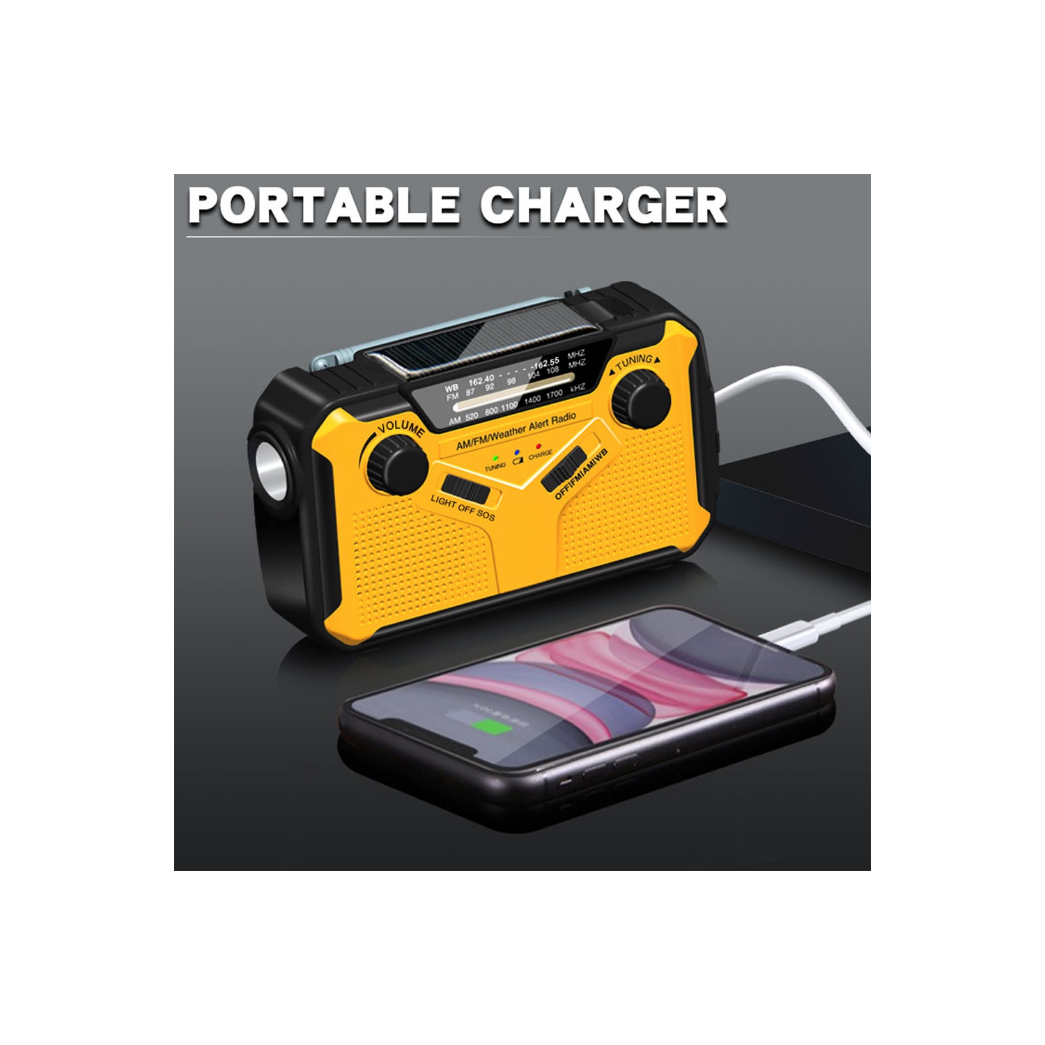 Emergency Radio AM/FM Weather Alert Receiver with LED Flashlight Phone Charger - axGear