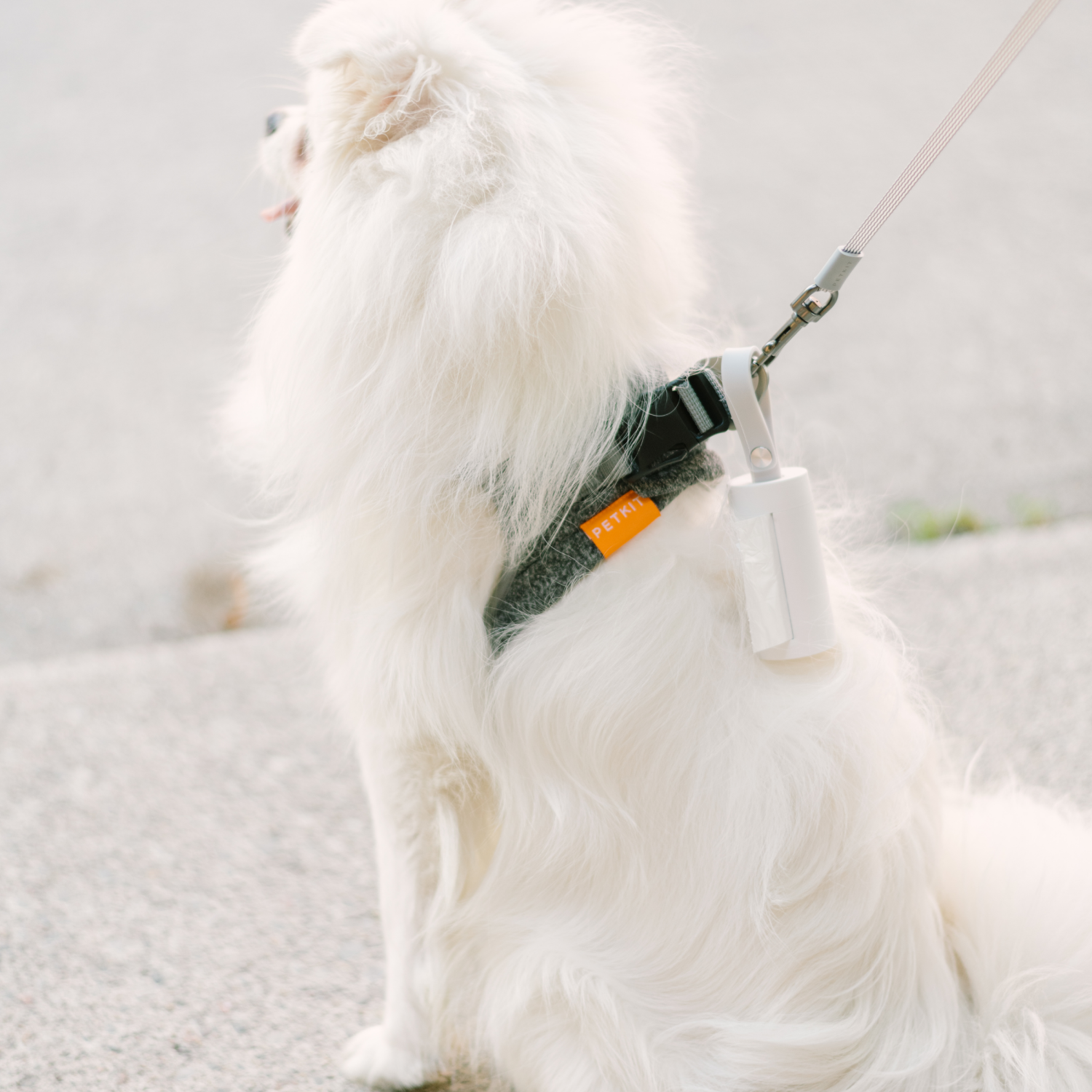 Harnais Air Pro, mousse légère, absorbant les chocs, respirant, pour chats et chiens