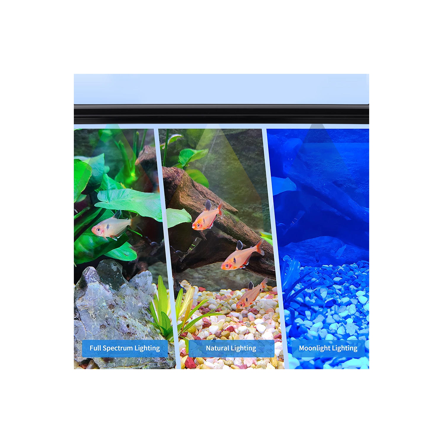 Lumière d'aquarium à LED colorée bleue et blanche de 35,4 pouces avec supports extensibles, réglage de la lumière et de la synchronisation réglables,