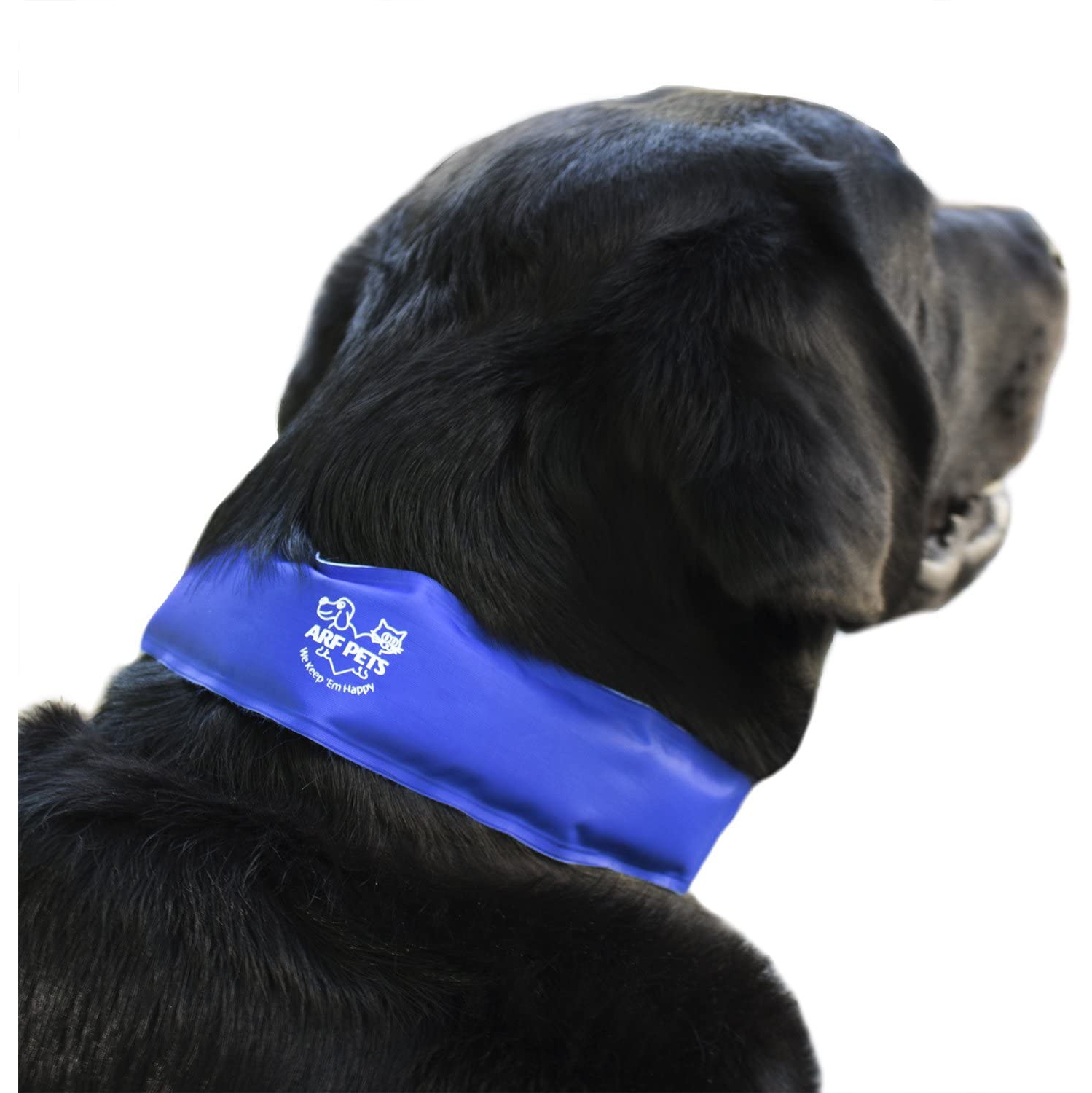 Le collier de refroidissement pour chiens Arf Pets est fait à 100 % de matériaux non toxiques et soulage le stress thermique&nbsp;: reste frais