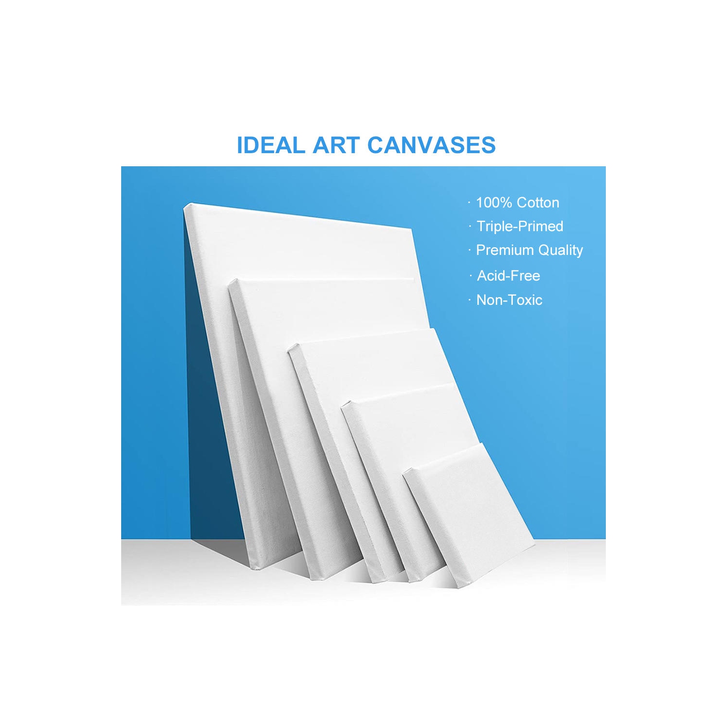 Ensemble de toiles vierges étirées pour étudiants, débutants et professionnels, 5 tailles, 10/paquet