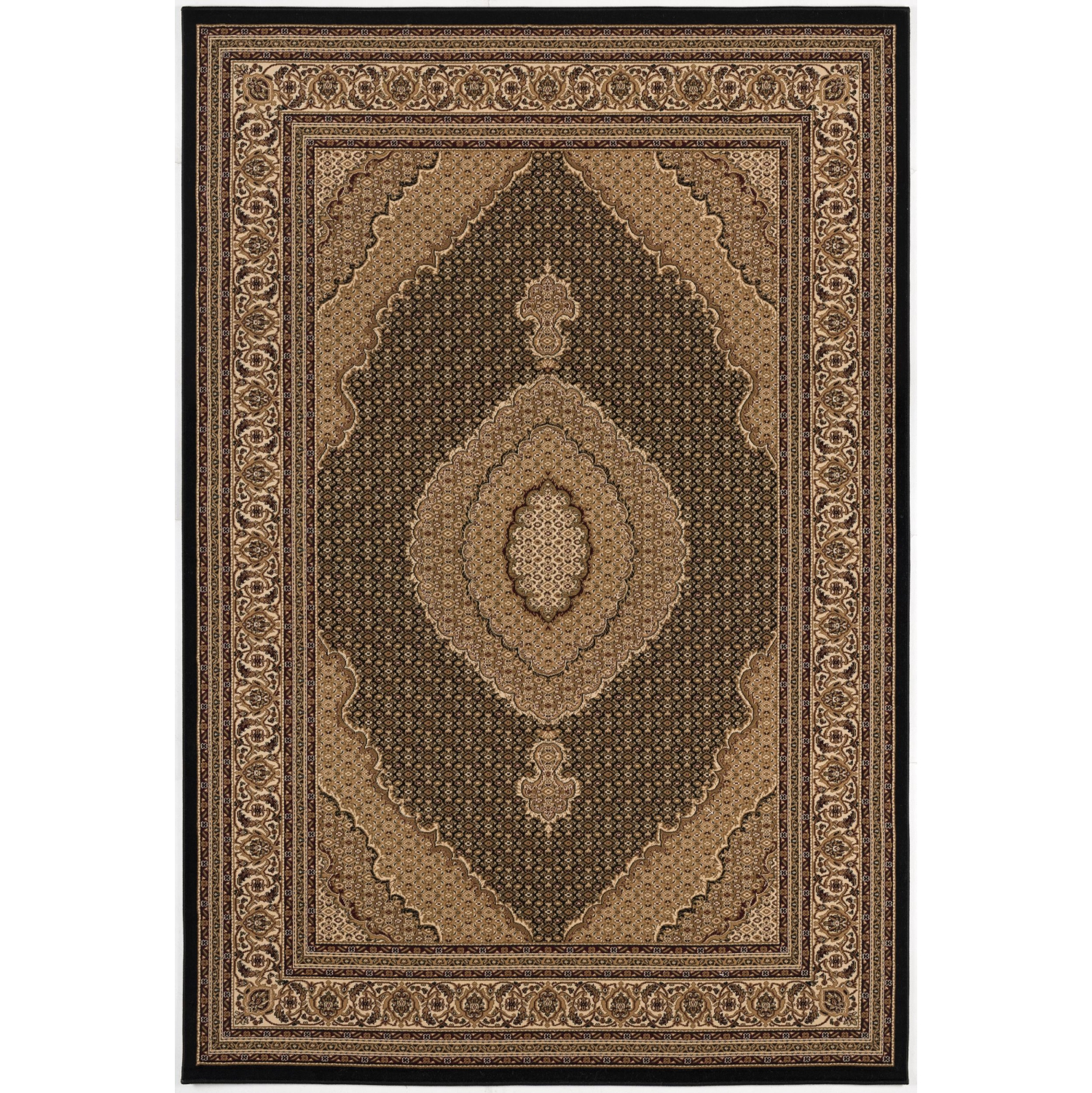 Tapis d'intérieur traditionnel à médaillon persan Branch Faris