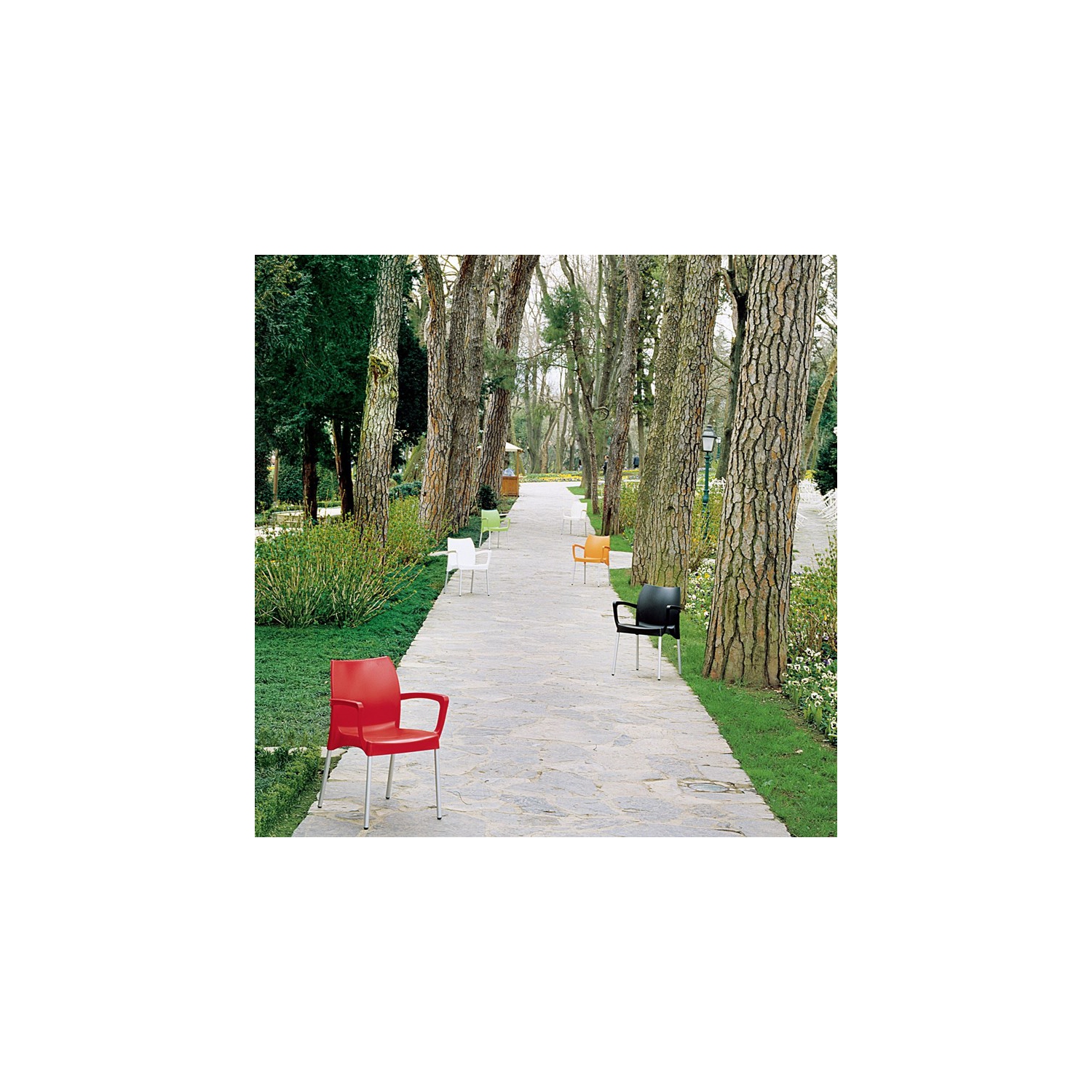 Compamia Dolce Resin Outdoor Arm Chair in Red