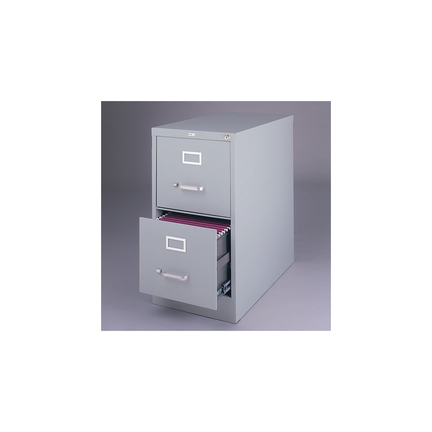 Scranton & Co Vertical Files 2 Drawer Letter File Cabinet in Gray