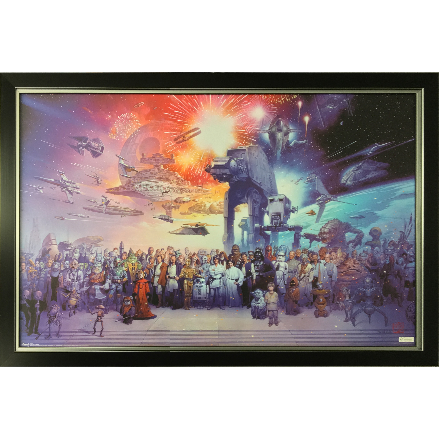 Art encadré de tous les personnages de la collection Star Wars