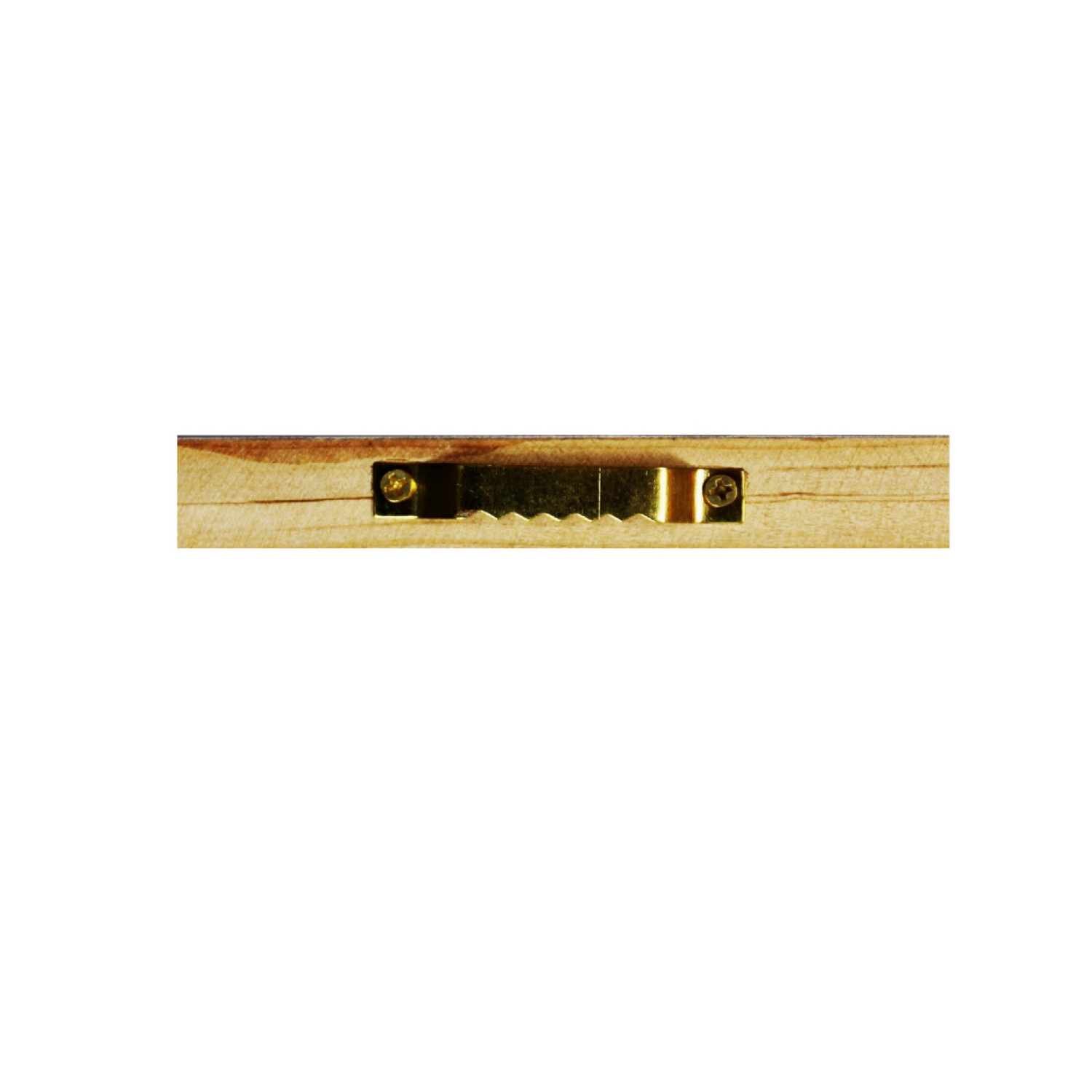 Hand Painted Canvas Wall Art - Set of 2