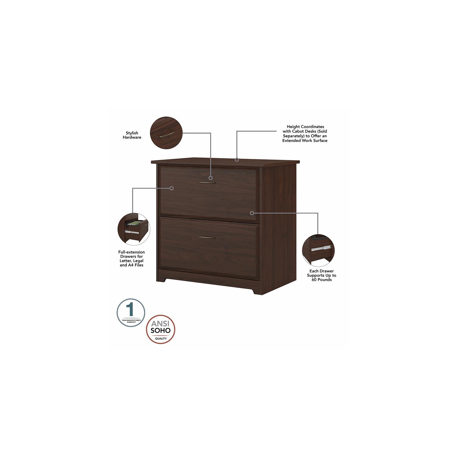 Scranton & Co Furniture Cabot 2 Drawer File Cabinet in Modern Walnut