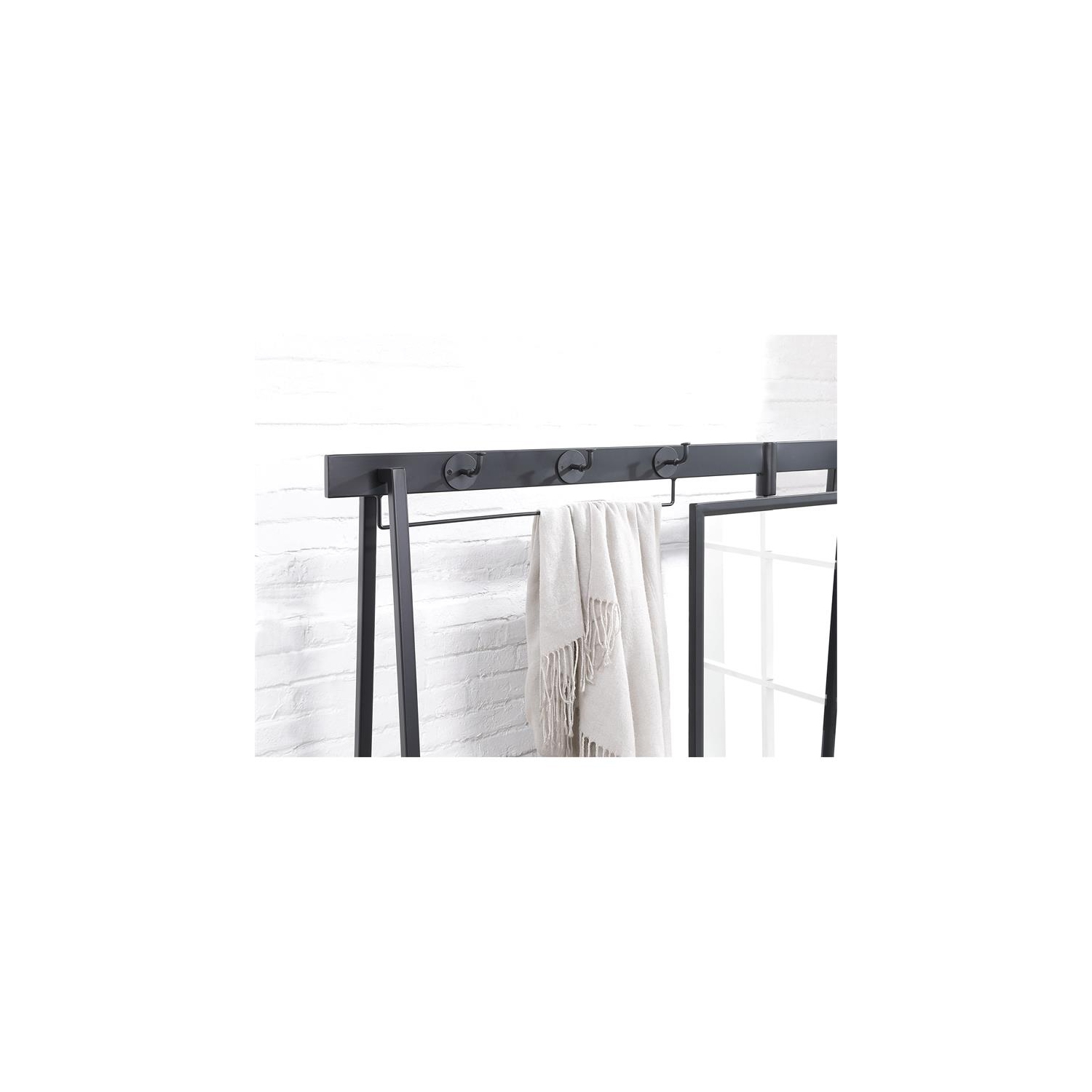 Furniture of America Loeff Metal Coat Stand with Mirror in Matte Black