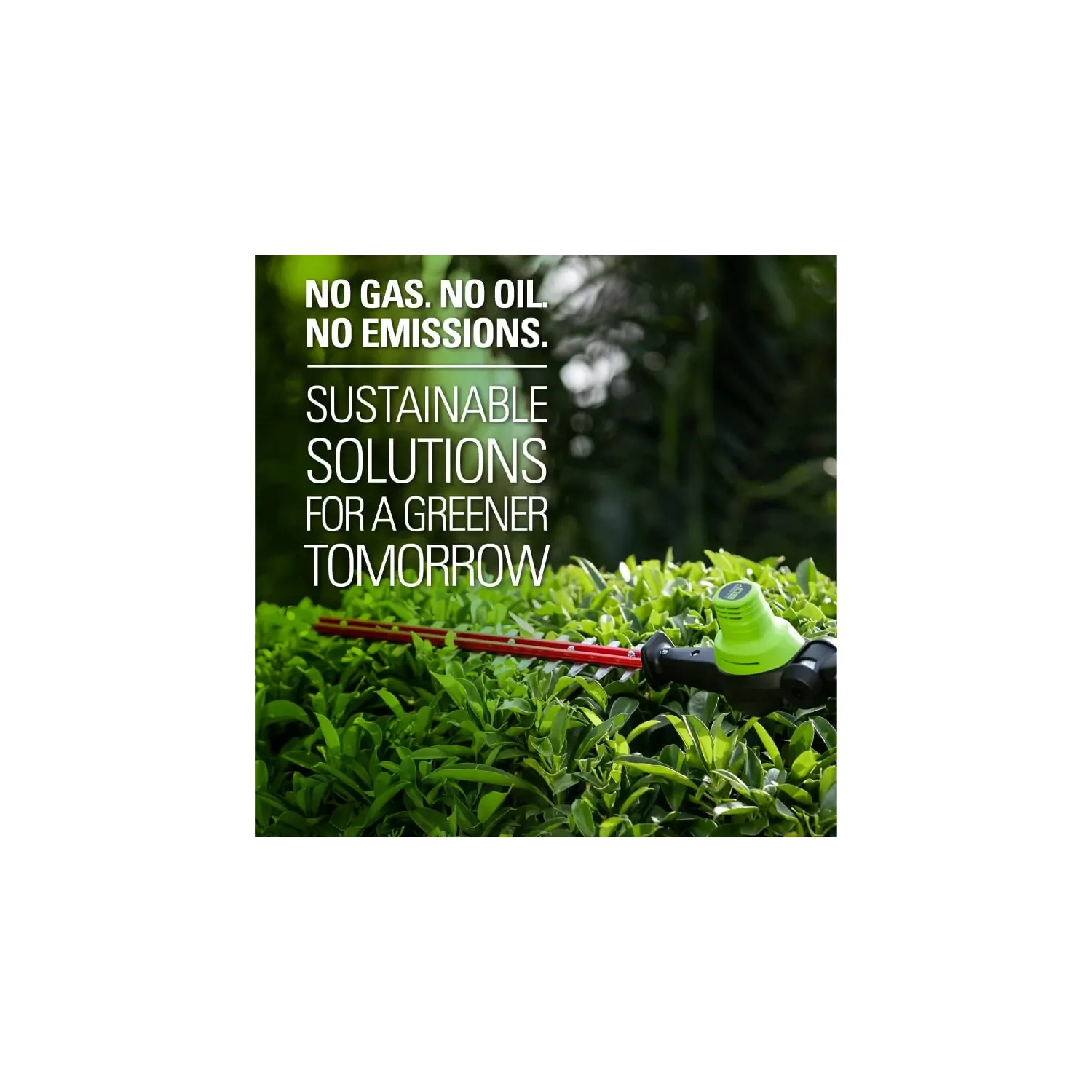 Taille-haie sans fil Greenworks Pro 80 V, 20 po, batterie 2 Ah et chargeur inclus