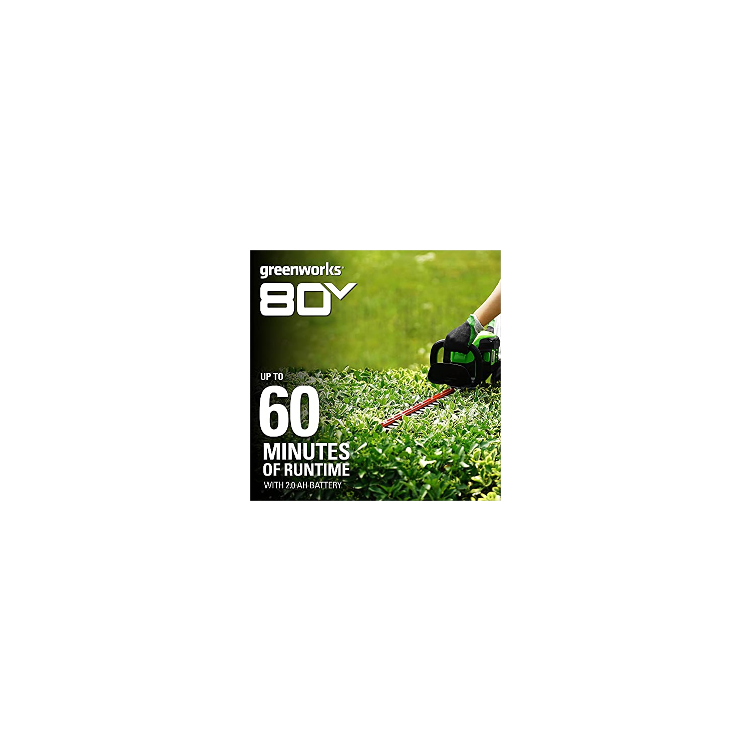Taille-haie sans balai Greenworks Pro 80 V, 26 po, outil seulement