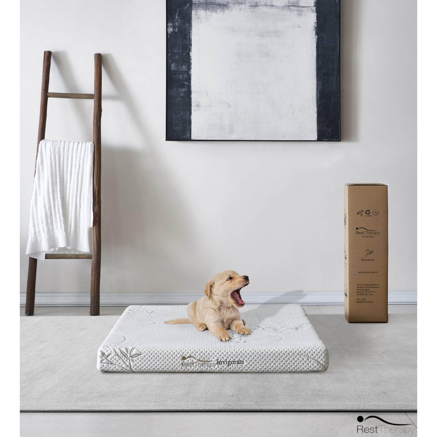 Rest Therapy 3 Inch Invigorate Bamboo Cool Gel Memory Foam Dog or Cat Bed Pet Mattress