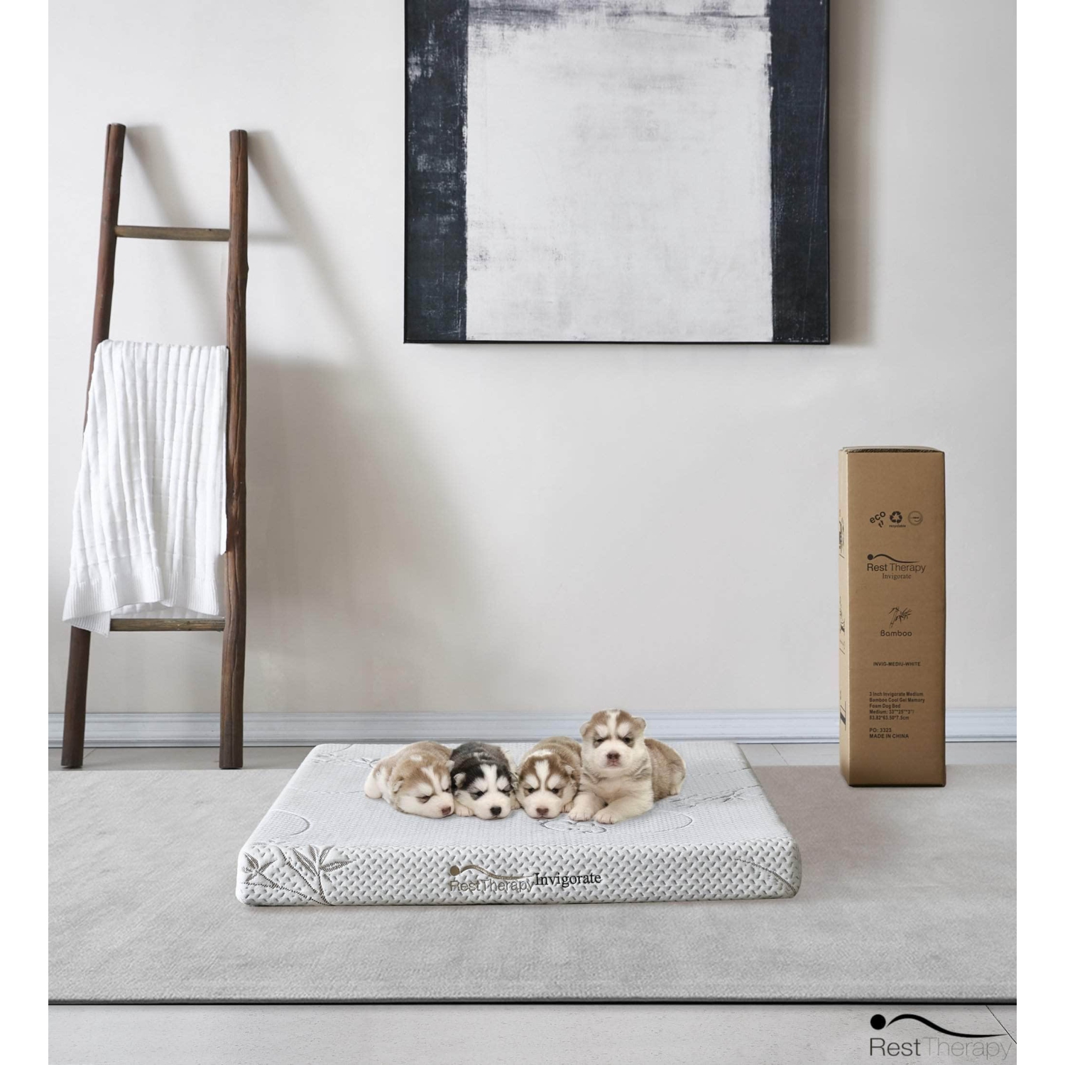 Matelas en mousse à mémoire en gel frais en bambou de 3&nbsp;po Invigorate de Repose Therapy pour chien ou chat