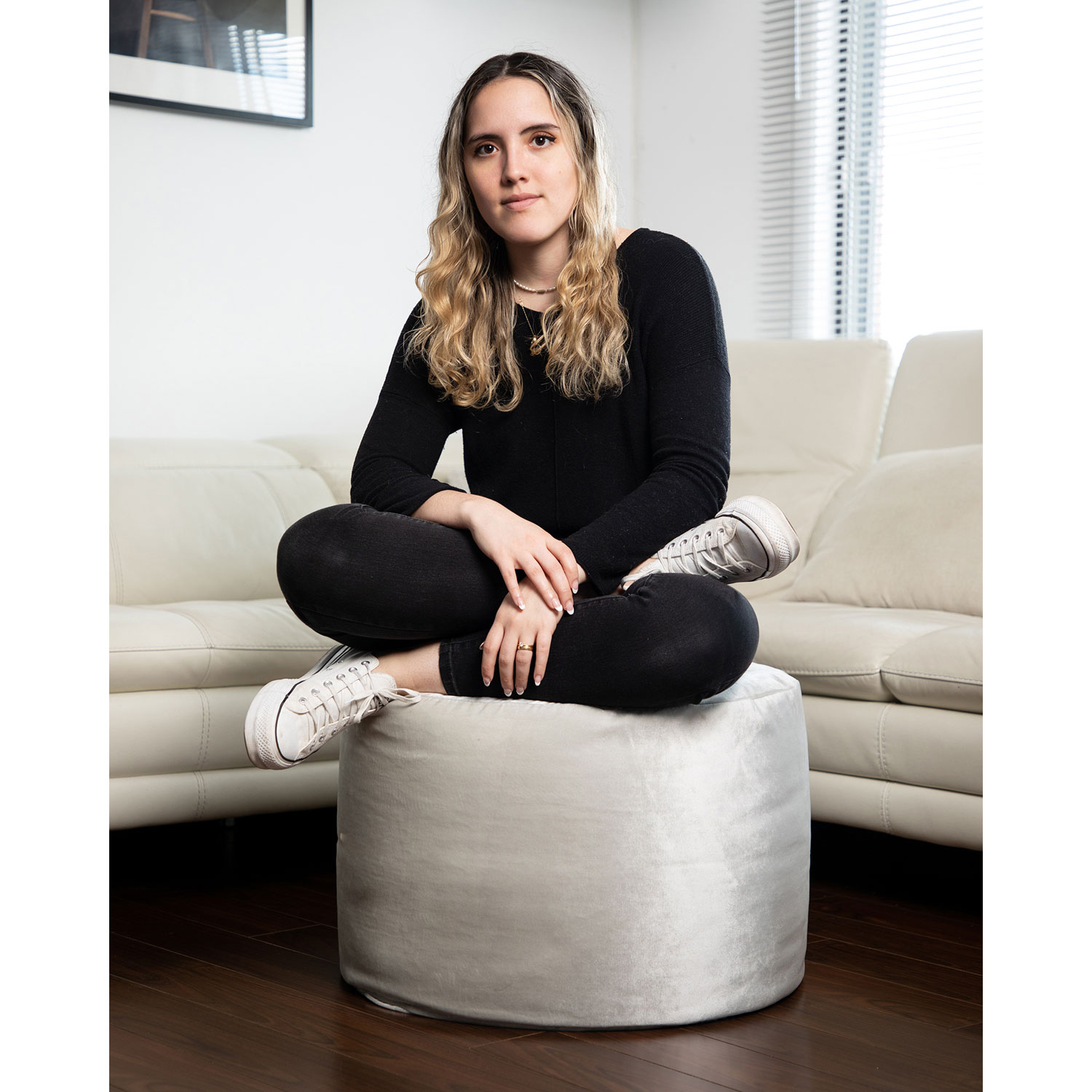 Gouchee Home Eclipse Velvet Polyester Pouf - Silver