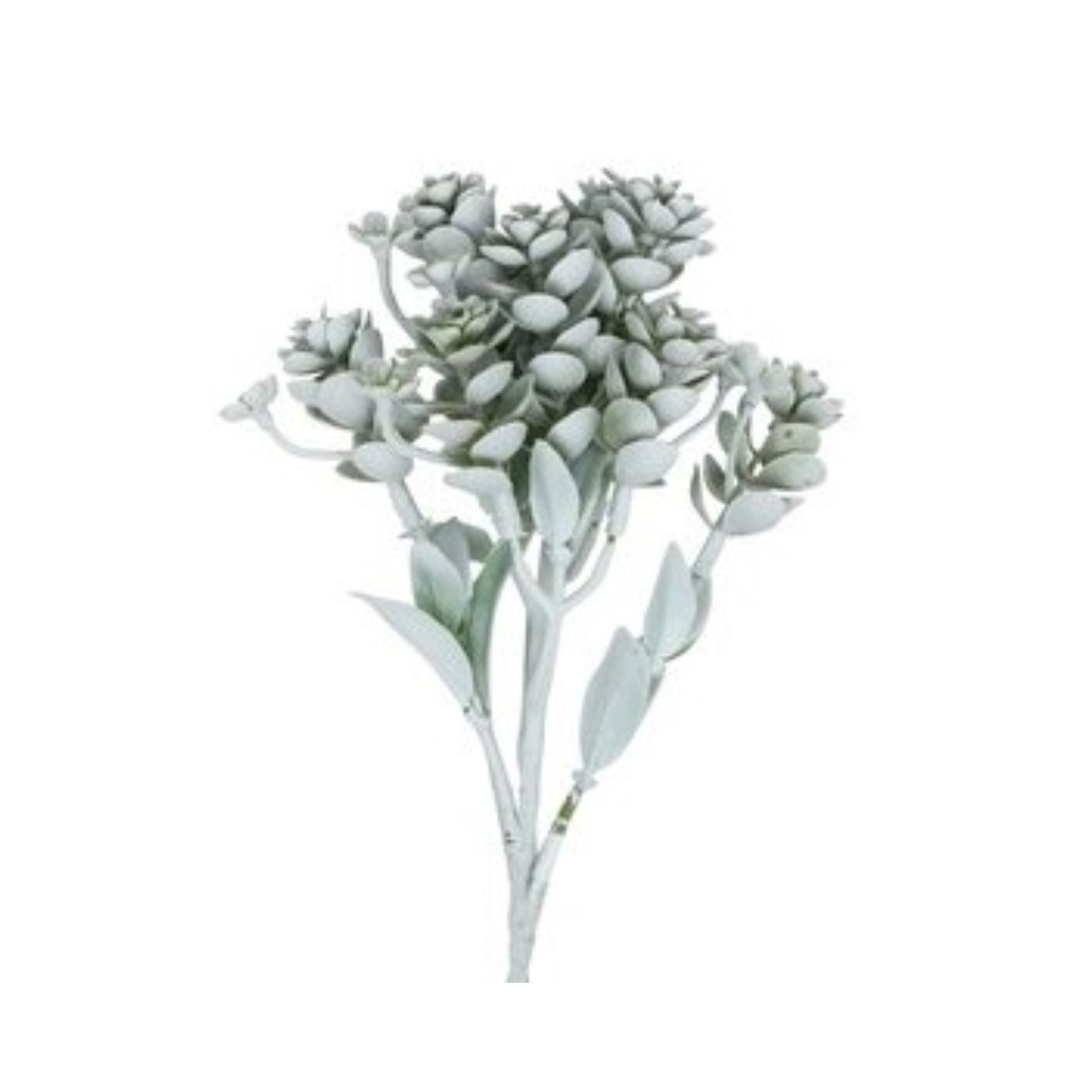 11.75" White and Mint Green Sedum Artificial Christmas Spray