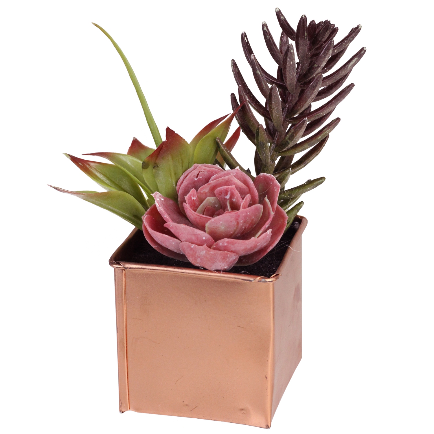 Arrangement de plantes succulentes artificielles de 7 po