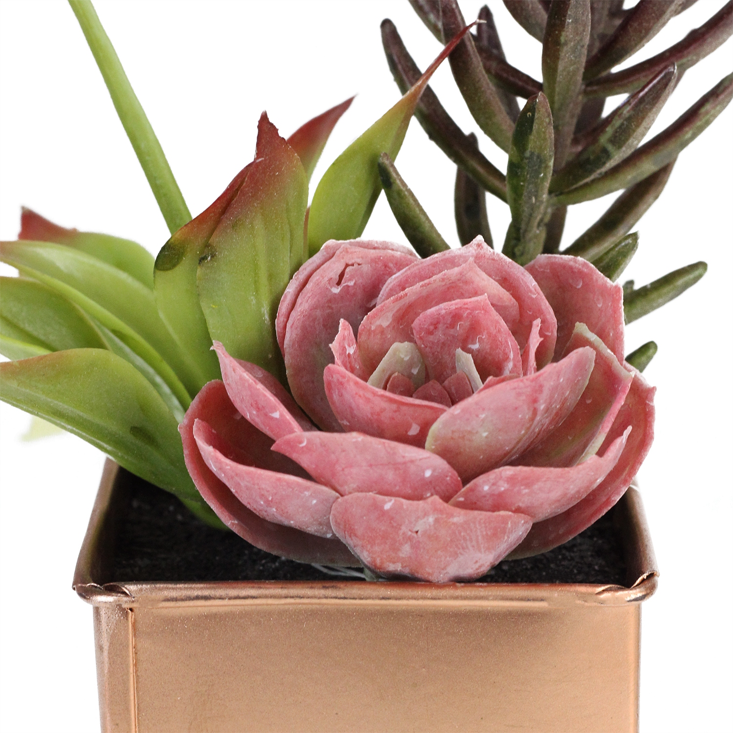 Arrangement de plantes succulentes artificielles de 7 po
