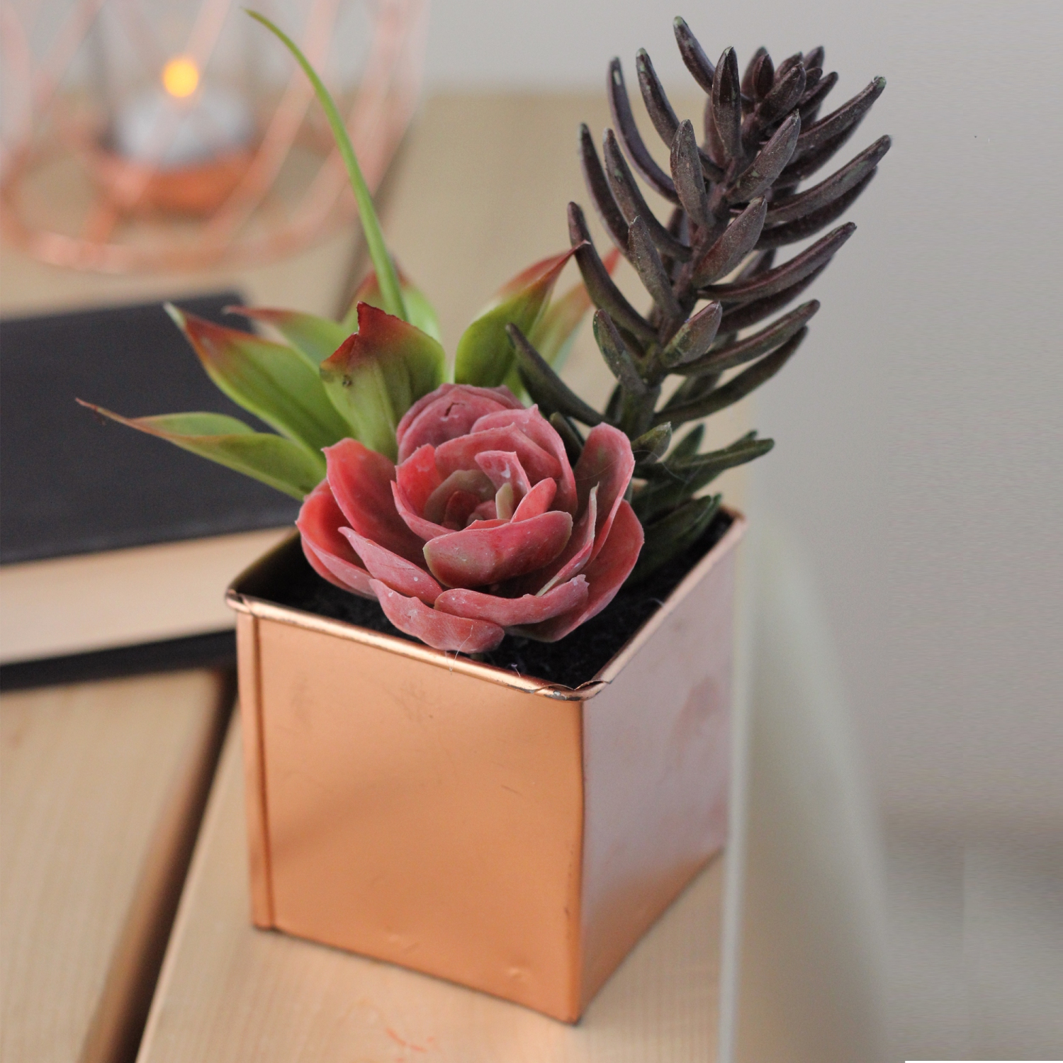 Arrangement de plantes succulentes artificielles de 7 po