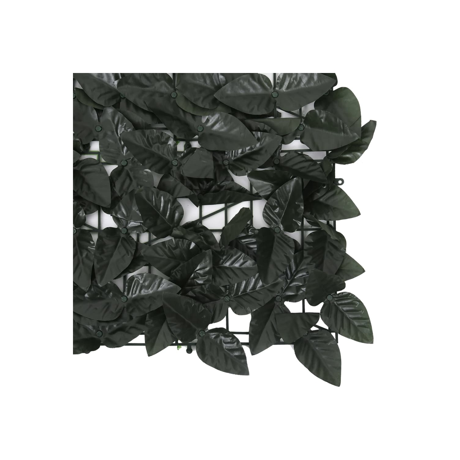 vidaXL Balcony Screen with Dark Green Leaves 118.1"x59.1"