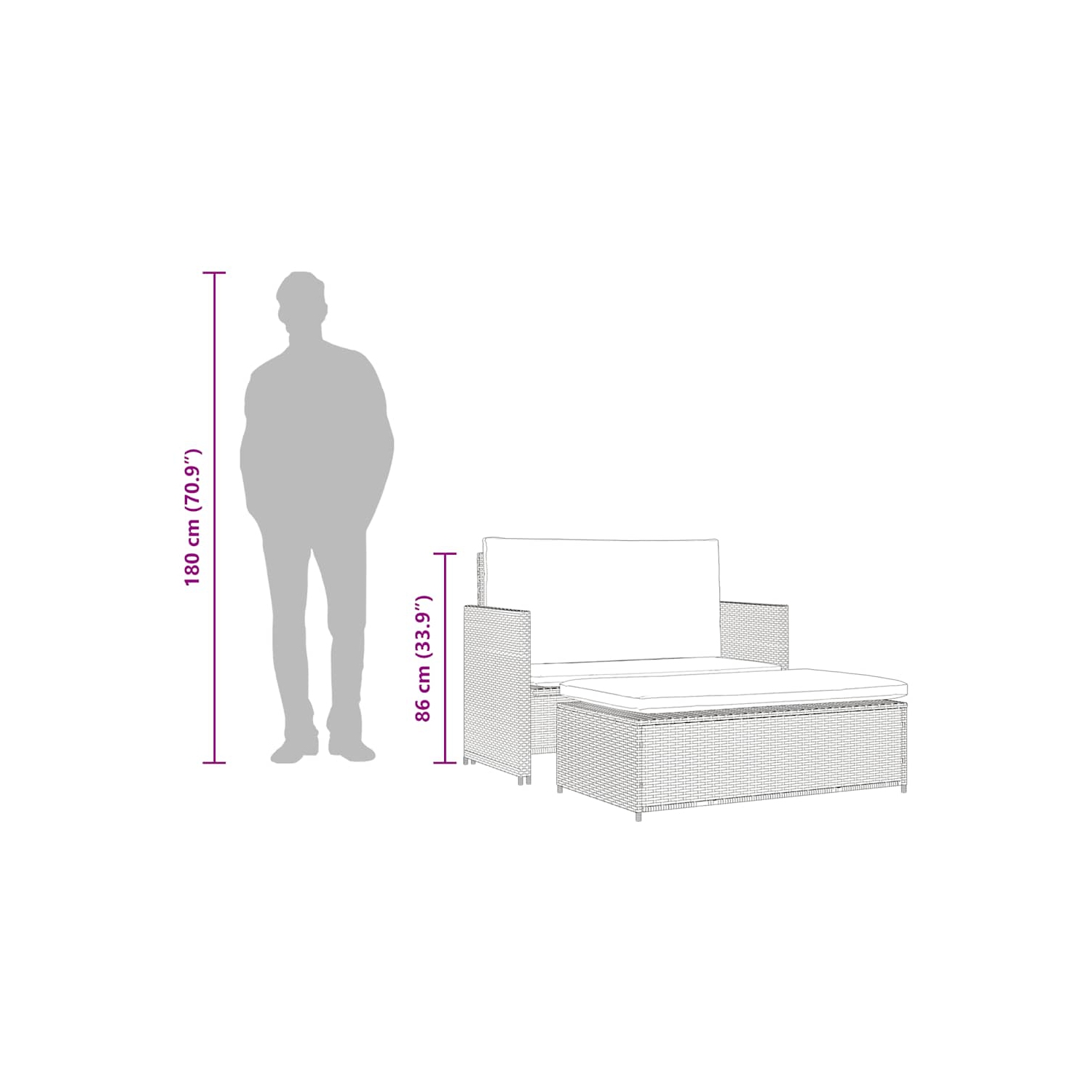 vidaXL 2 Piece Patio Lounge Set with Cushions Poly Rattan Black