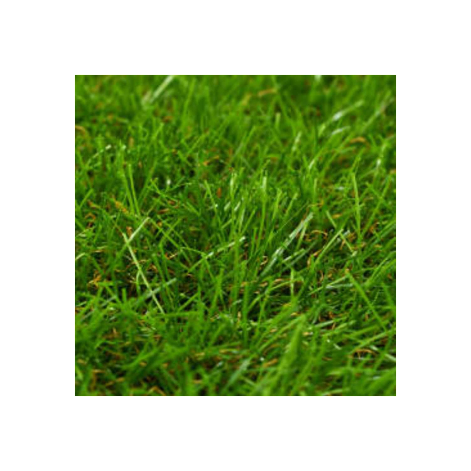 vidaXL Artificial Grass 3.3'x49.2'/0.2" Green