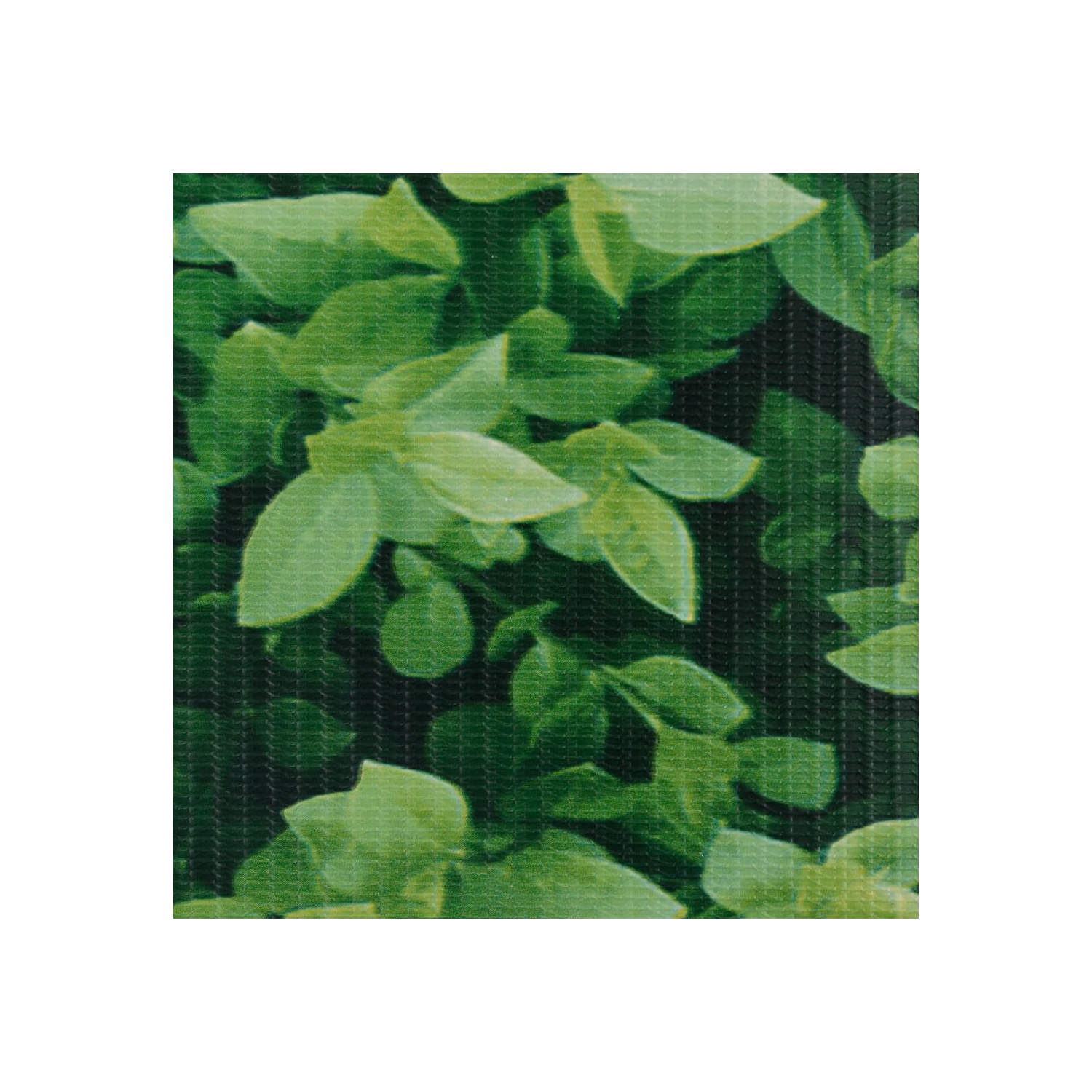 vidaXL Garden Privacy Screen PVC 229.7'x0.6' Green