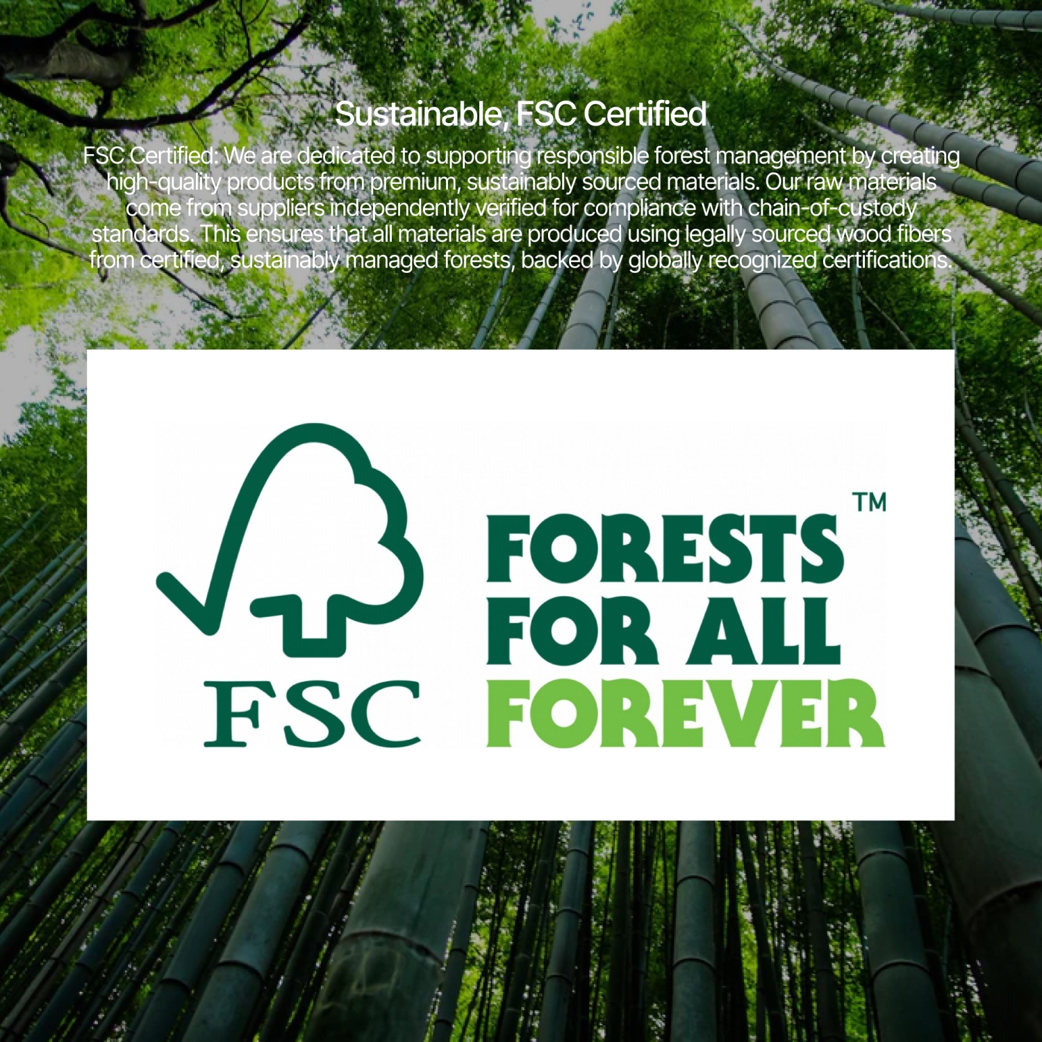 burotic Solid Wood Sit-Stand Desk – Electric Height Adjustable with Dual Motor – Solid Maple Top – Black Frame – 24" x 48"