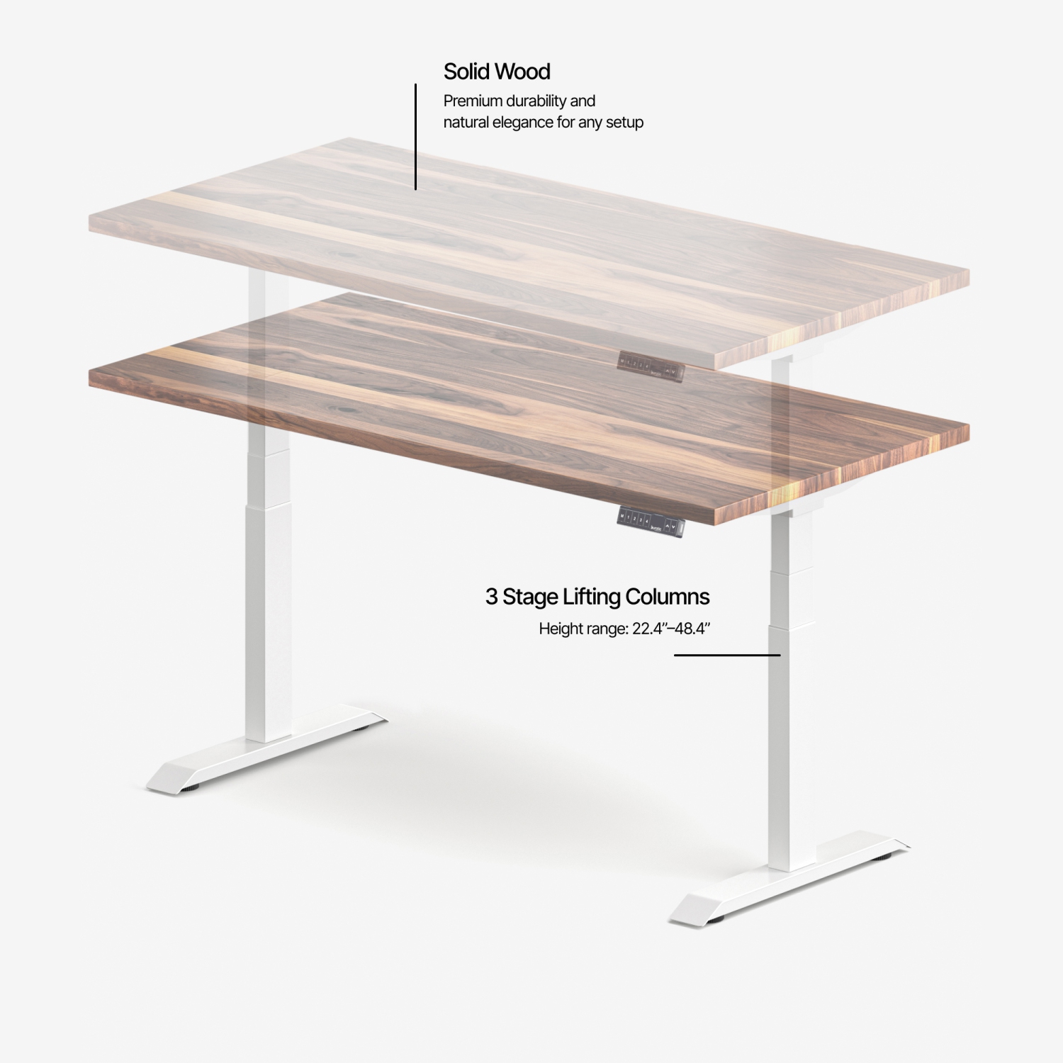 burotic Solid Wood Sit-Stand Desk – Electric Height Adjustable with Dual Motor – Solid Walnut Top – White Frame – 24" x 48"