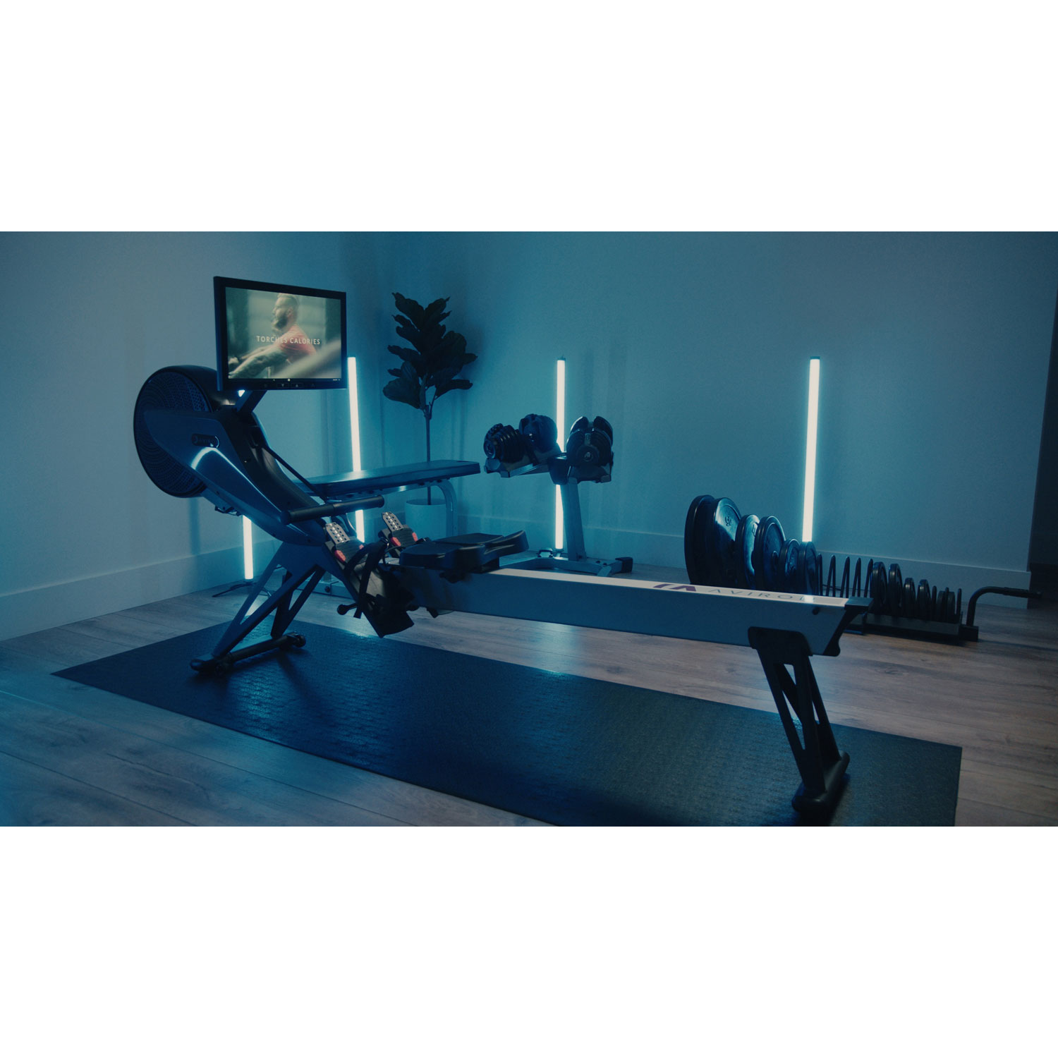 Aviron Game-Based Smart Rowing Machine - Only at Best Buy