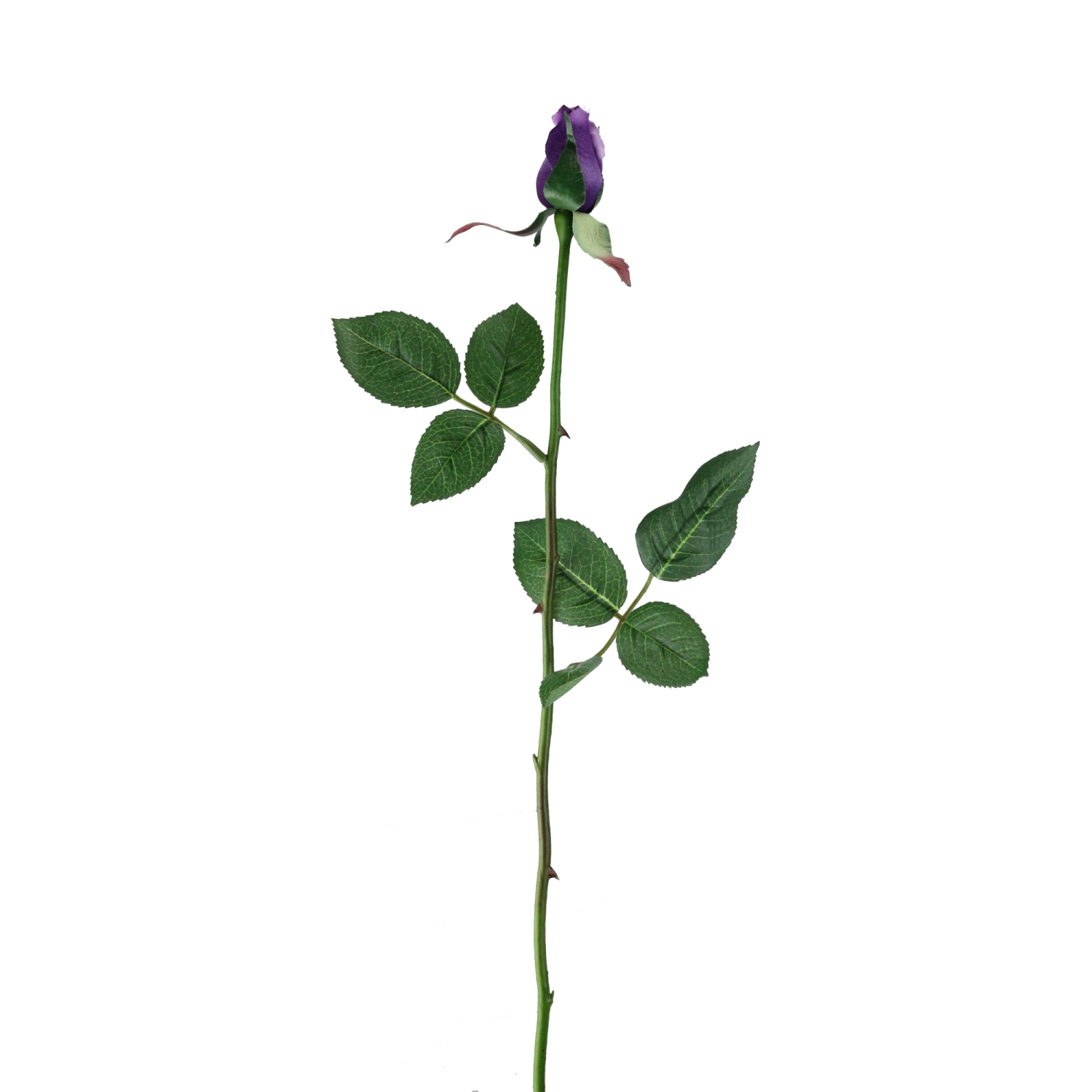 23" Deep Purple Long Stem Rose Bud Pick