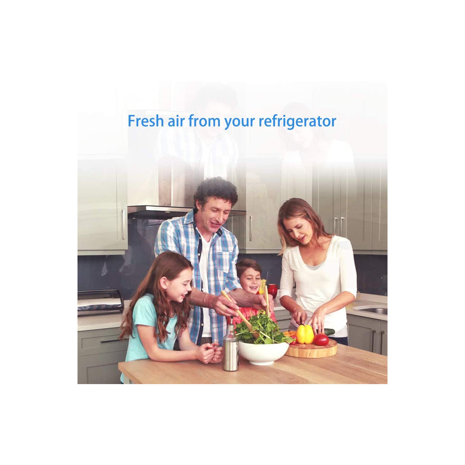 3 Pack Paultra Refrigerator Air Filter Replacement Filter Air Filter Also Fit Ultrawf PureAir