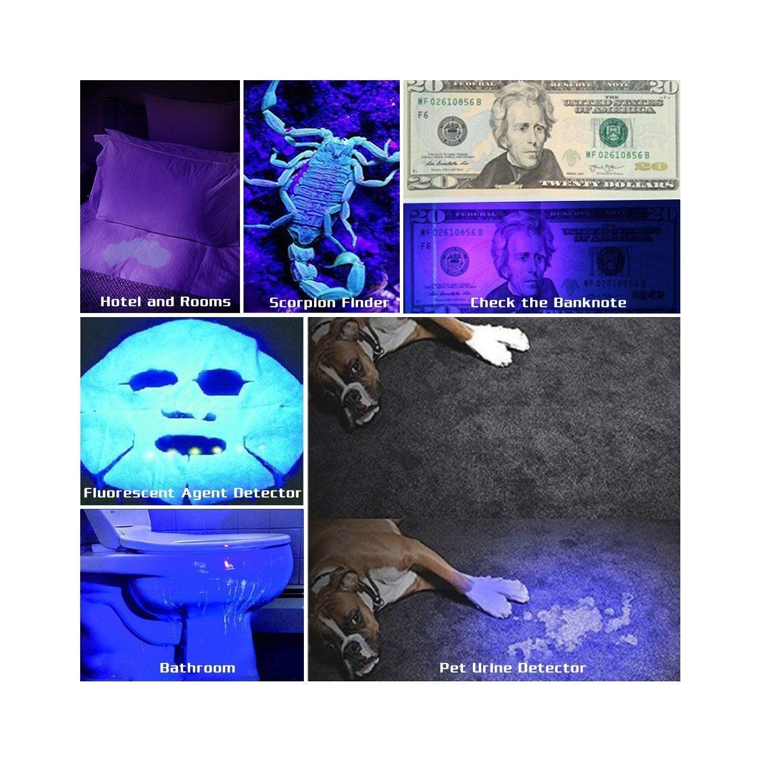 Lampe de poche UV lumière noire UV , 68 DEL 395 NM UV Blacklight détecteur d’urine pour animaux de compagnie chat,