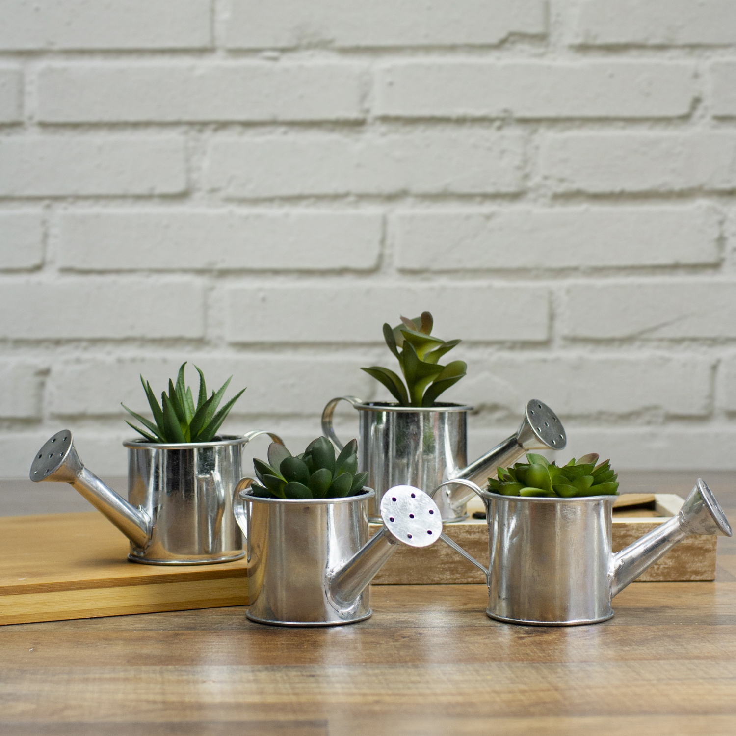 6" Potted Artificial Mini Echeveria Succulent with Watering Can