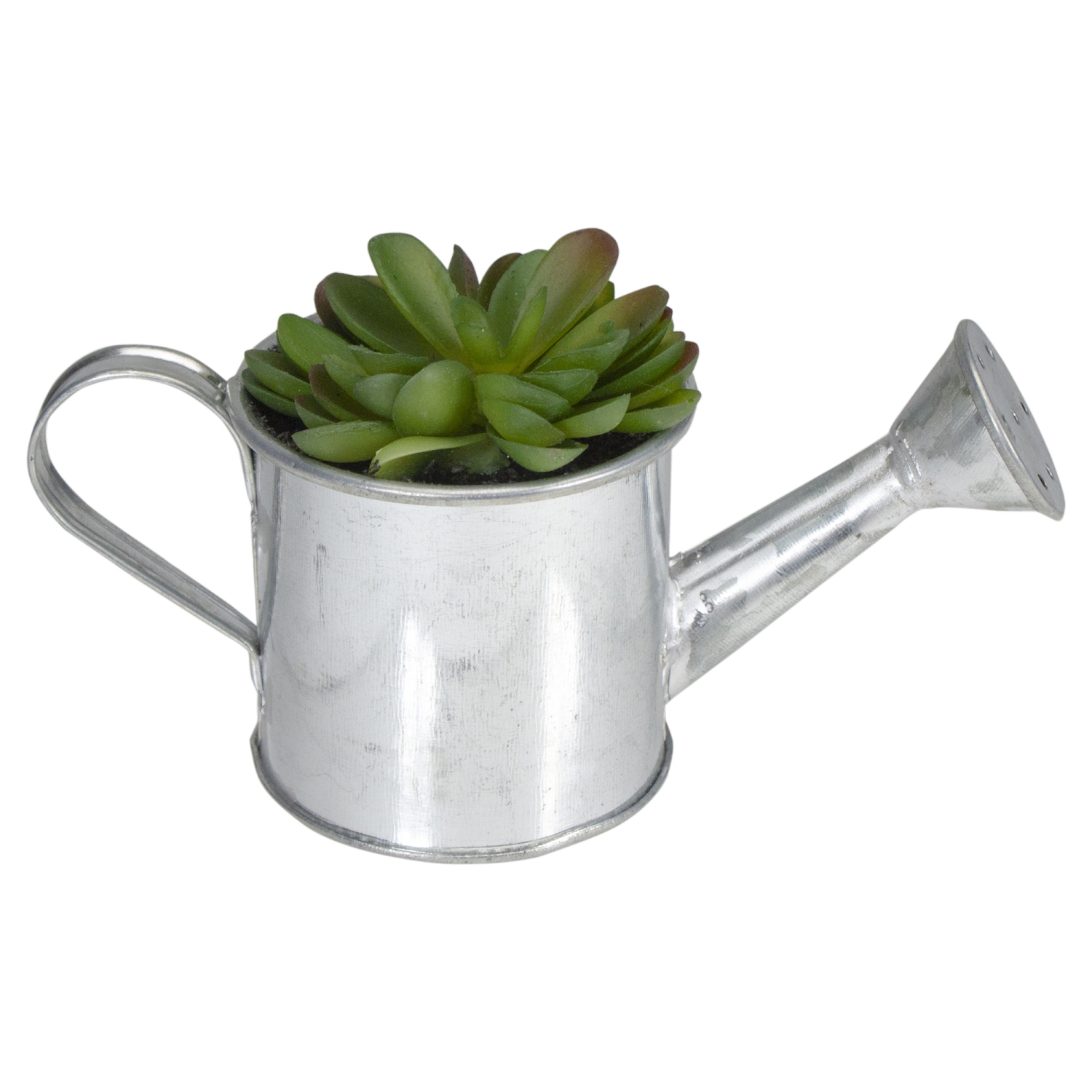 6" Potted Artificial Mini Echeveria Succulent with Watering Can