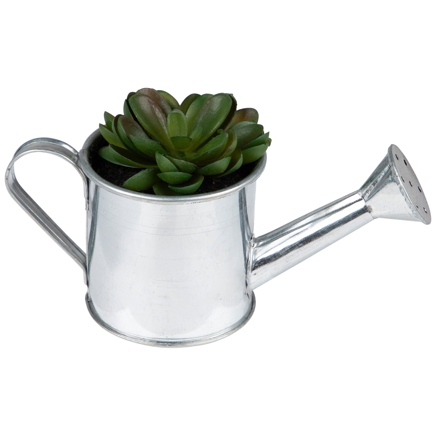 6" Potted Artificial Mini Echeveria Succulent with Watering Can