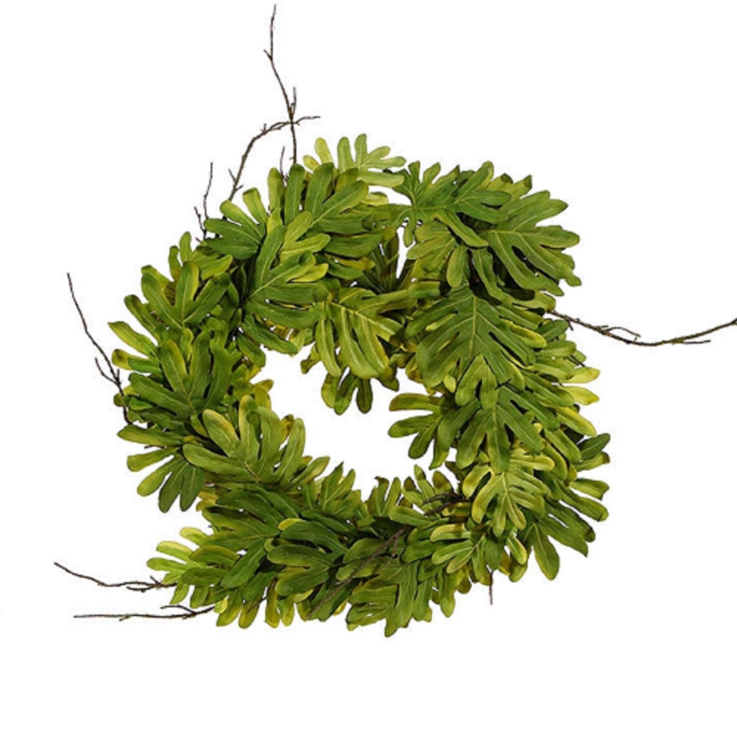 Philodendron Leaves and Twigs Artificial Tropical Wreath - 26-Inch, Unlit