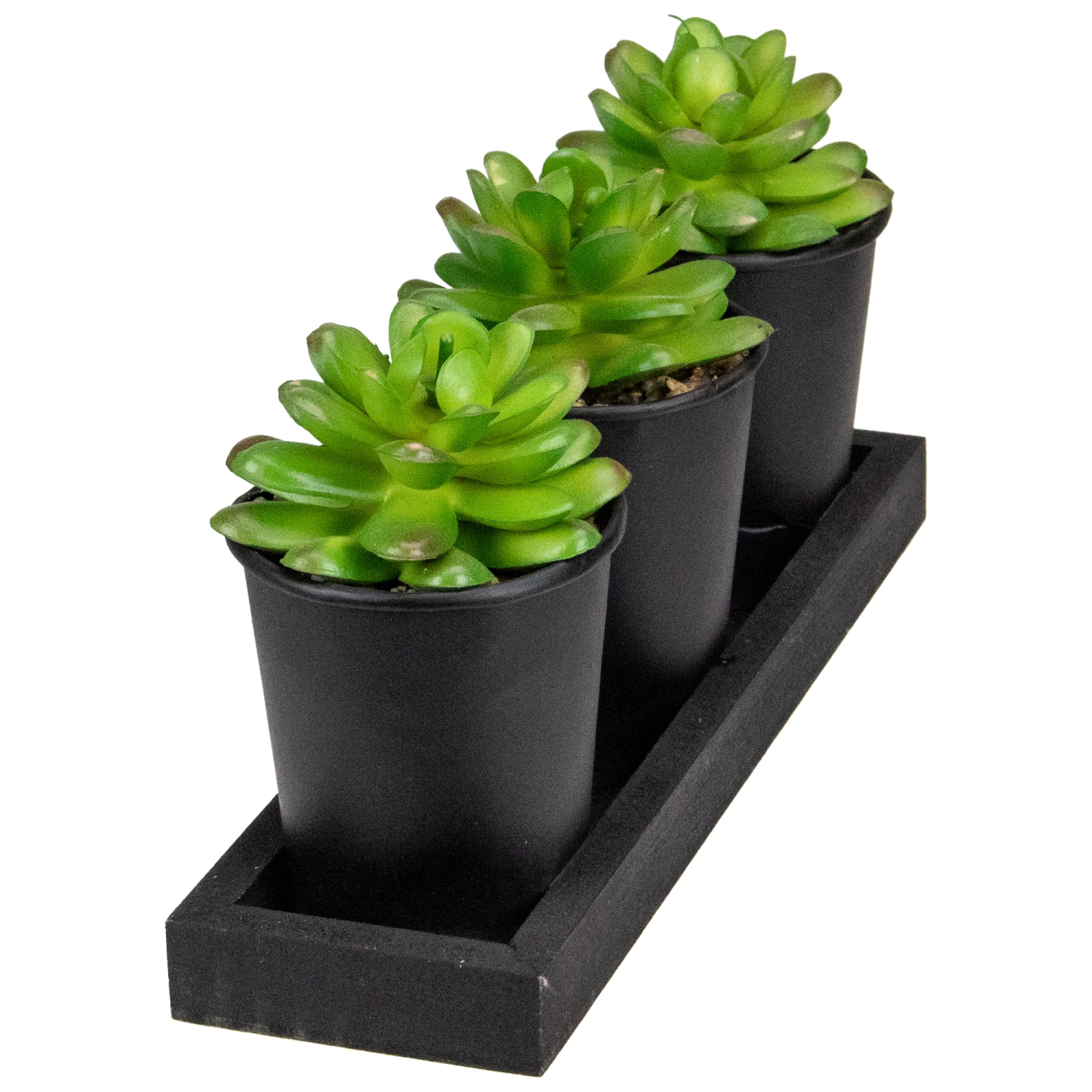 Ensemble de 3 mini plantes succulentes artificielles avec jardinière en bois de 5 po