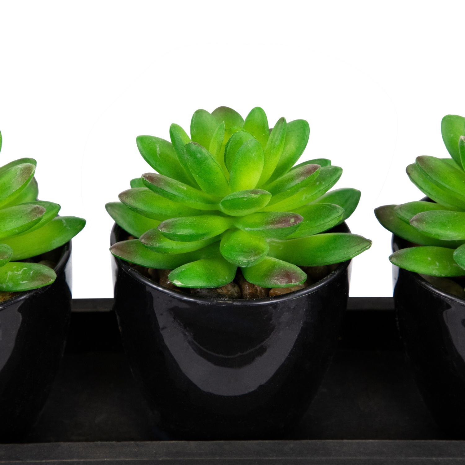 Ensemble de 3 mini plantes succulentes artificielles avec jardinière en bois de 5 po