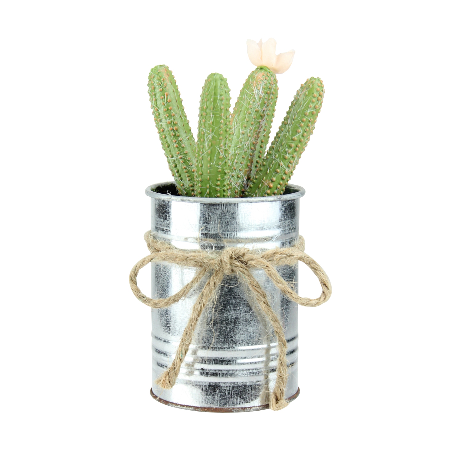 Jardinière en cactus dans une jardinière avec noeud papillon vert artificiel de 6 po