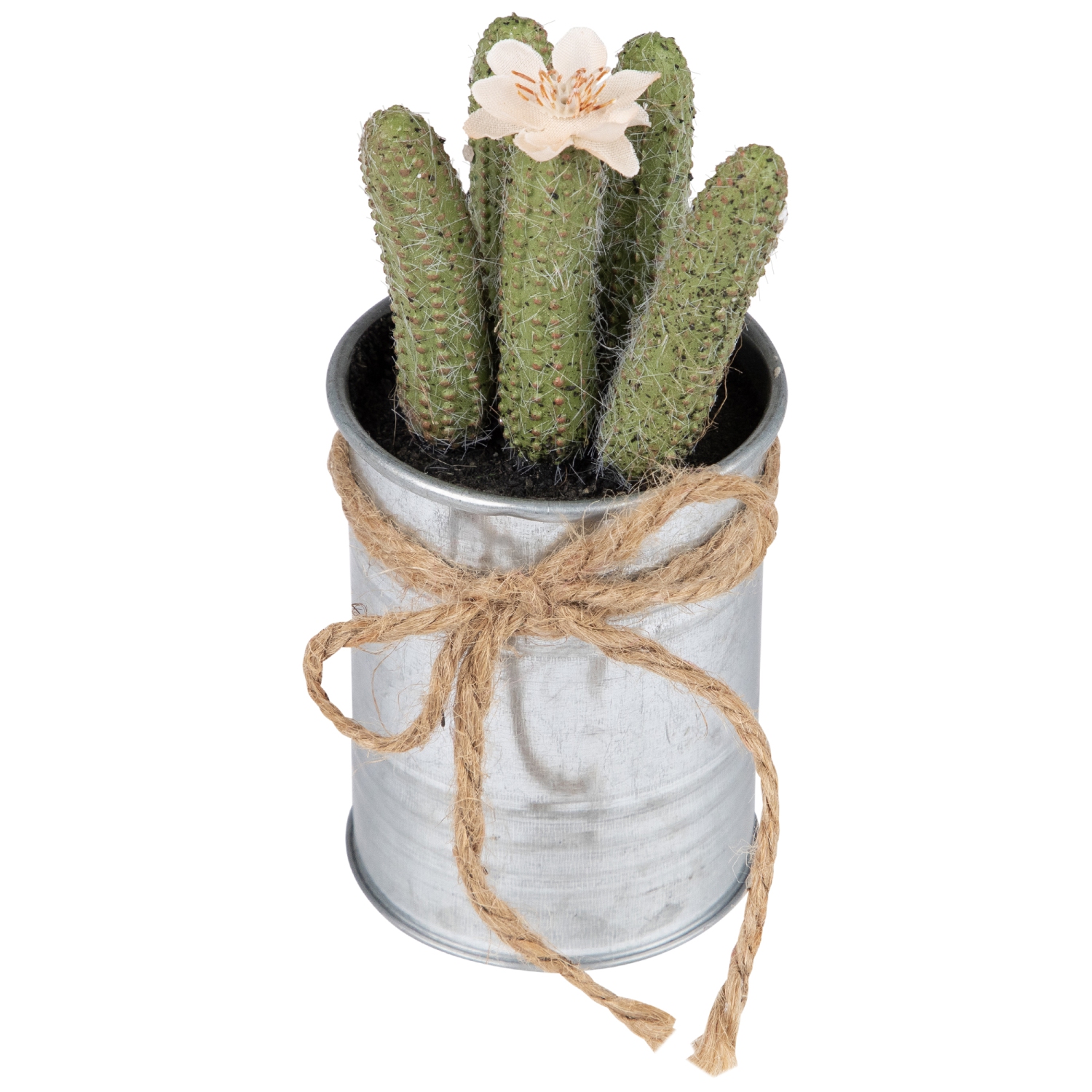 Jardinière en cactus dans une jardinière avec noeud papillon vert artificiel de 6 po