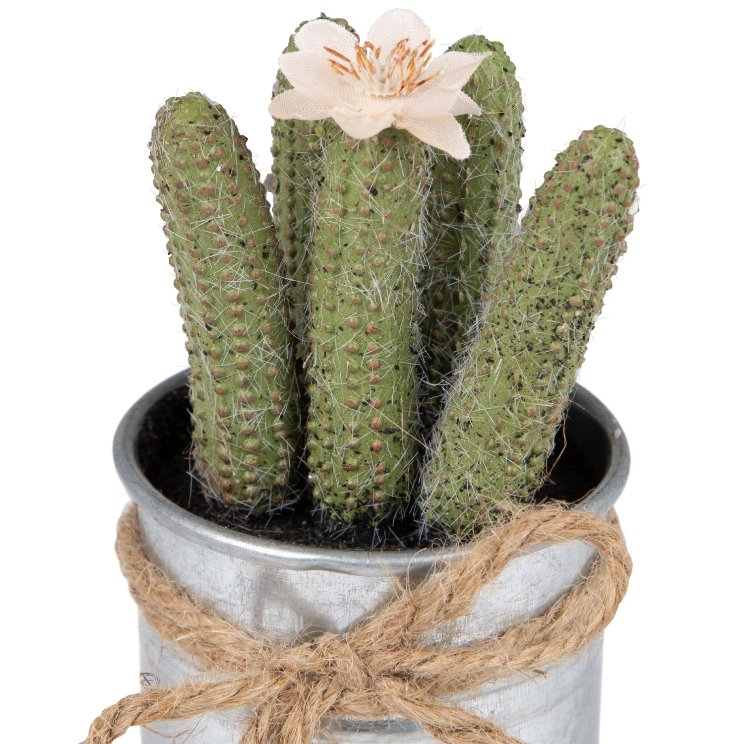 Jardinière en cactus dans une jardinière avec noeud papillon vert artificiel de 6 po
