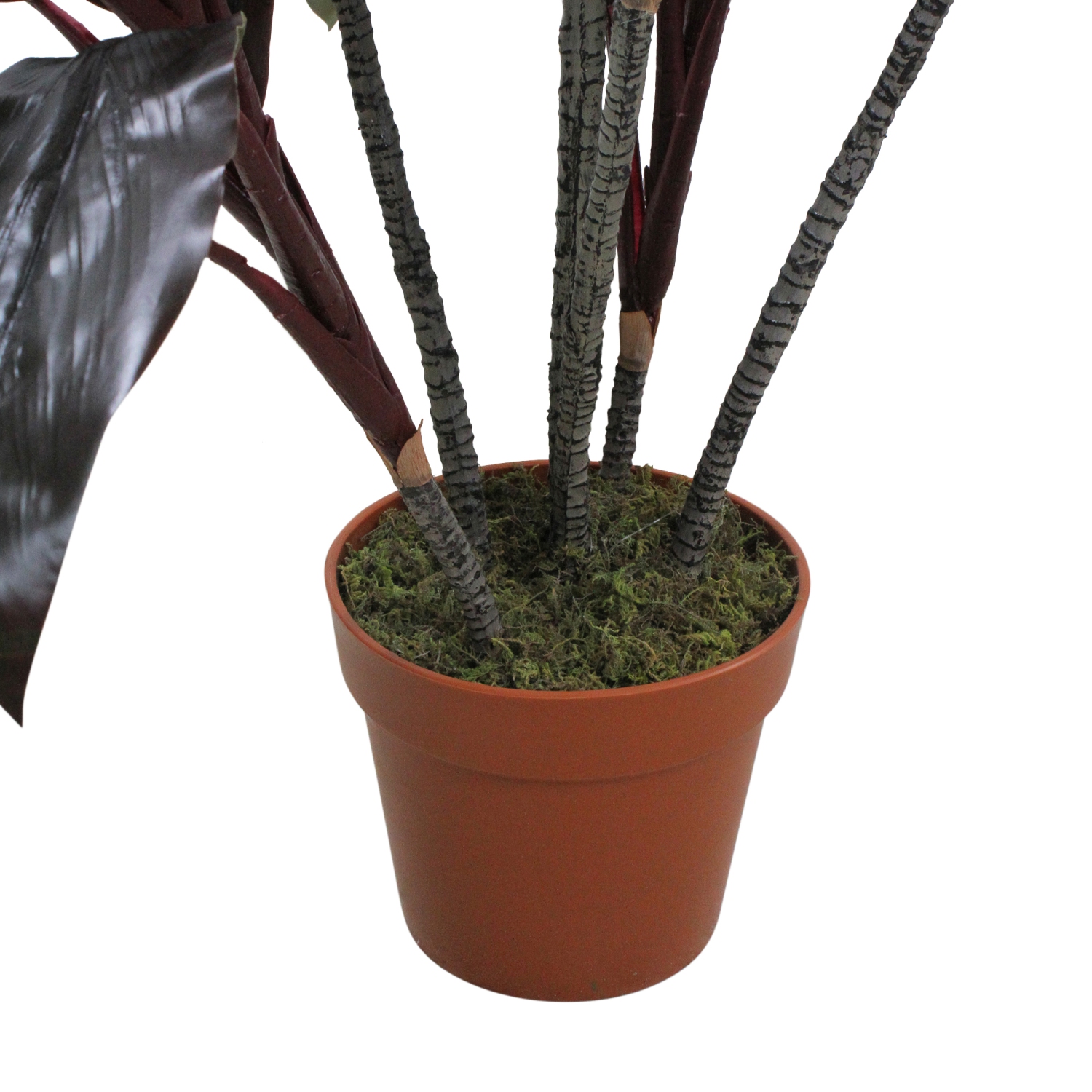 60" Potted Green and Red Artificial Dracaena Plant