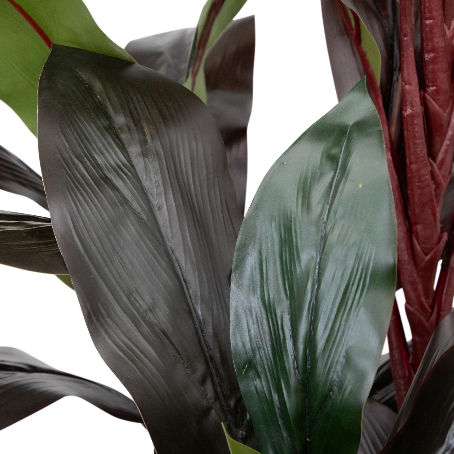 60" Potted Green and Red Artificial Dracaena Plant