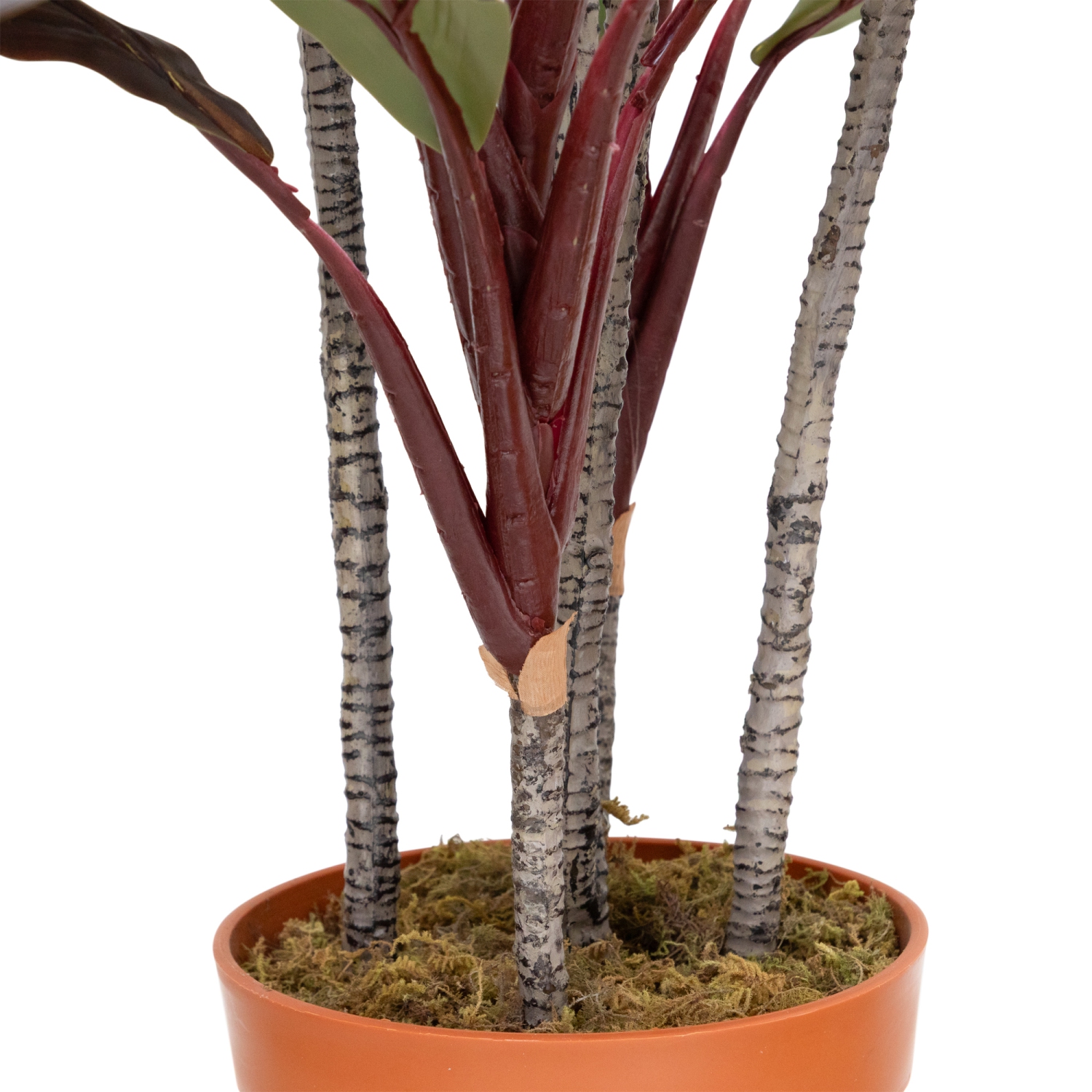 60" Potted Green and Red Artificial Dracaena Plant