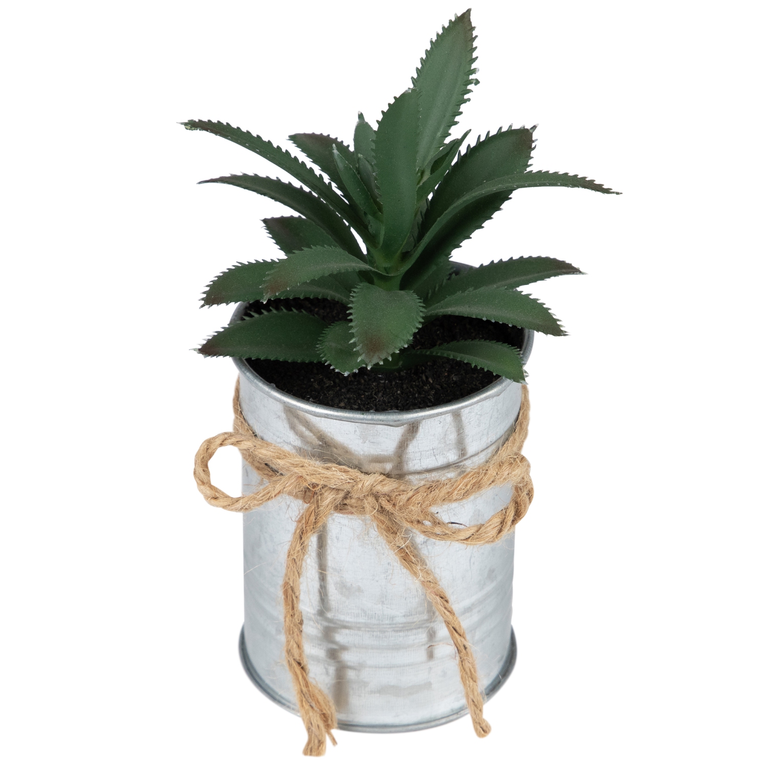 Jardinière verte tropicale en mini-pot de 6 po